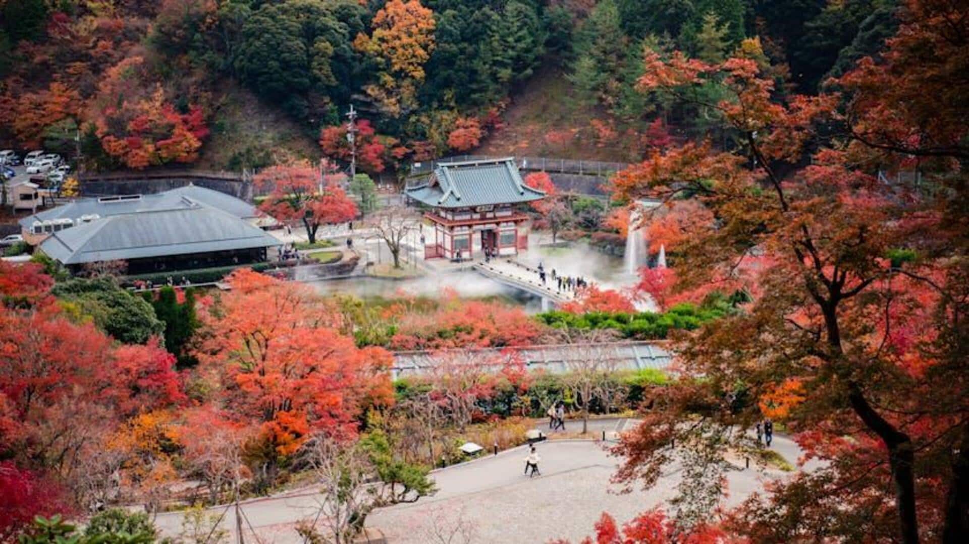 Tempat Alam Tak Terlewatkan di Osaka