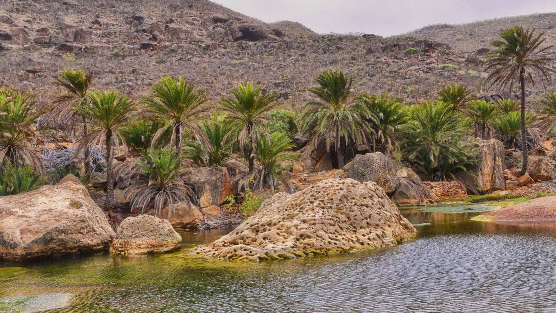 Menjelajahi keajaiban Socotra, Yaman
