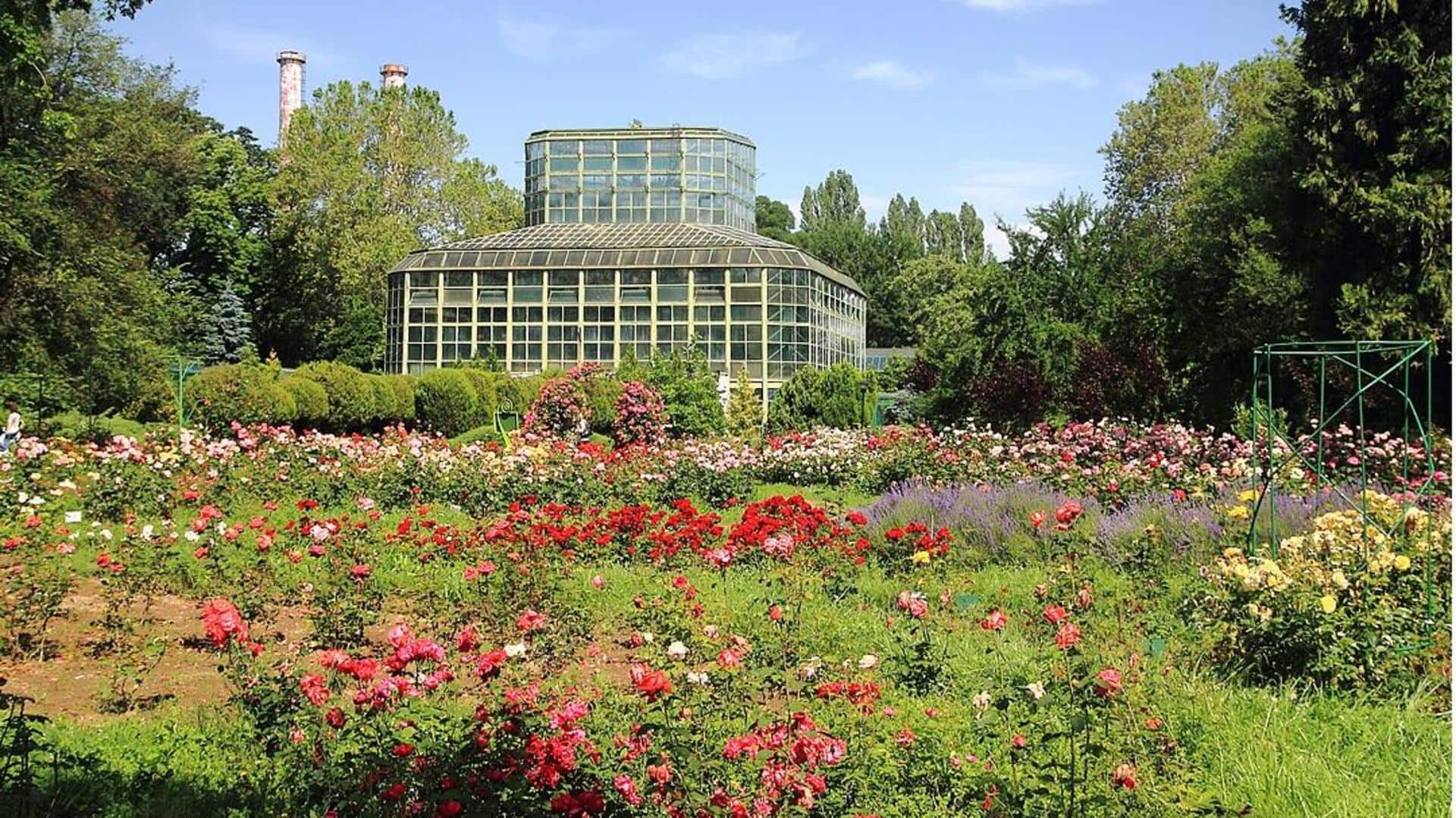 Menjelajahi Kebun Kota Terlupakan di Bucharest