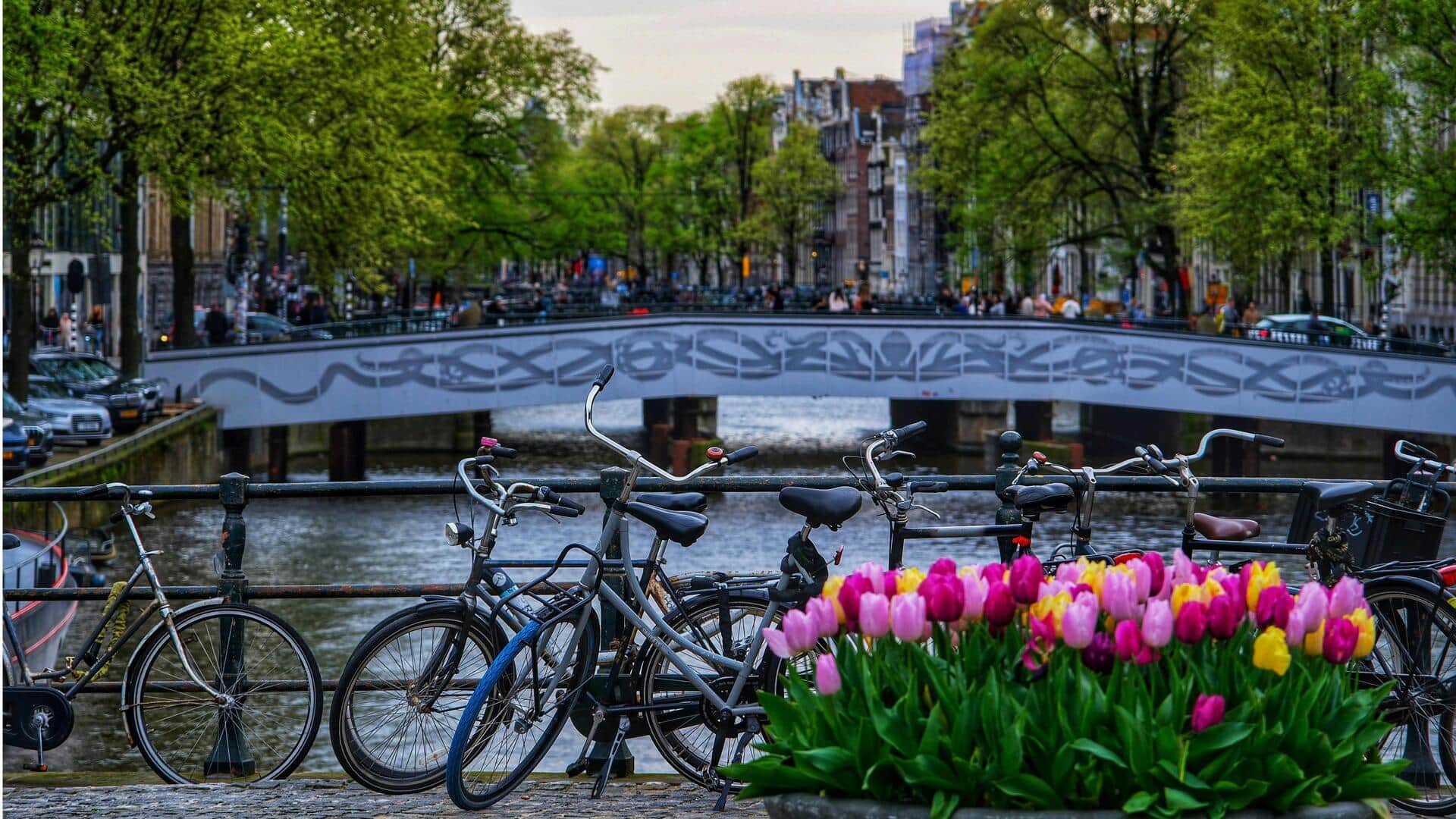 Menikmati Keindahan Belanda dengan Lima Pengalaman Ramah Lingkungan