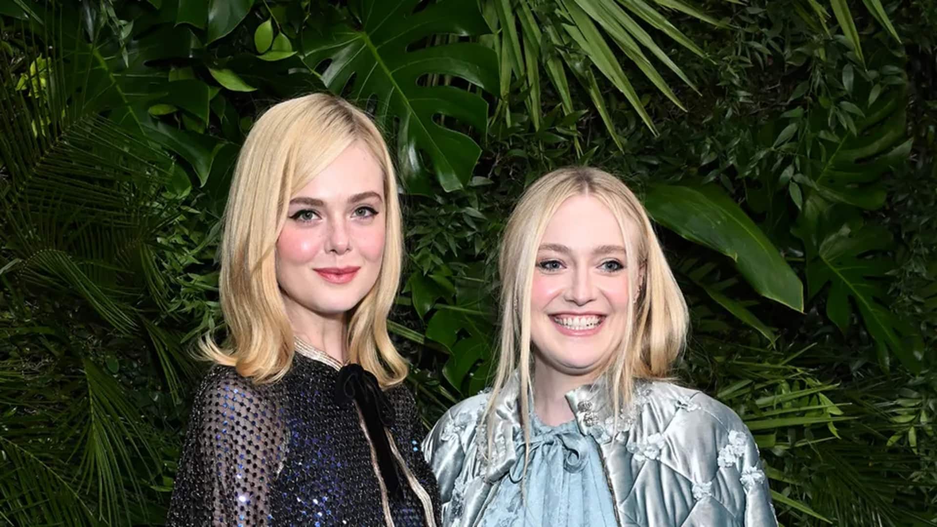 Bintang Hollywood: Saudara yang membentuk karier mereka