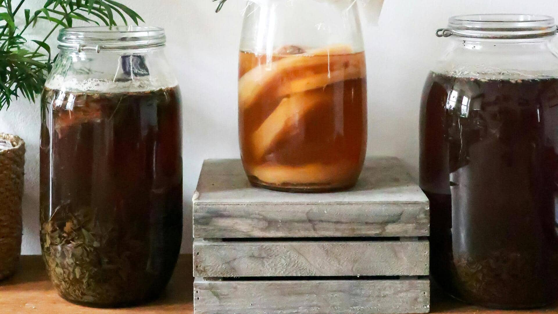 Resep Kombucha Vegan Kaya Probiotik