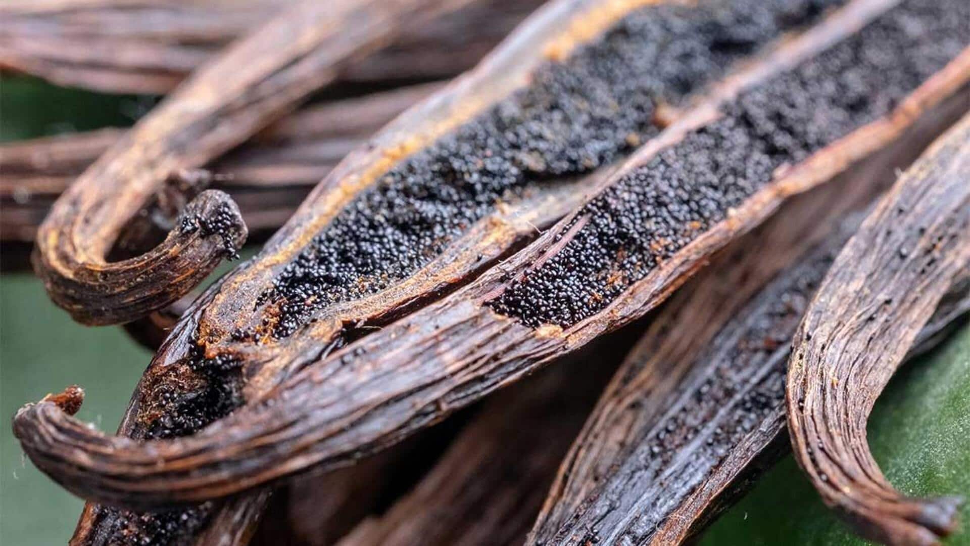 Potensi Tersembunyi dari Vanilla dalam Hidangan Gurih