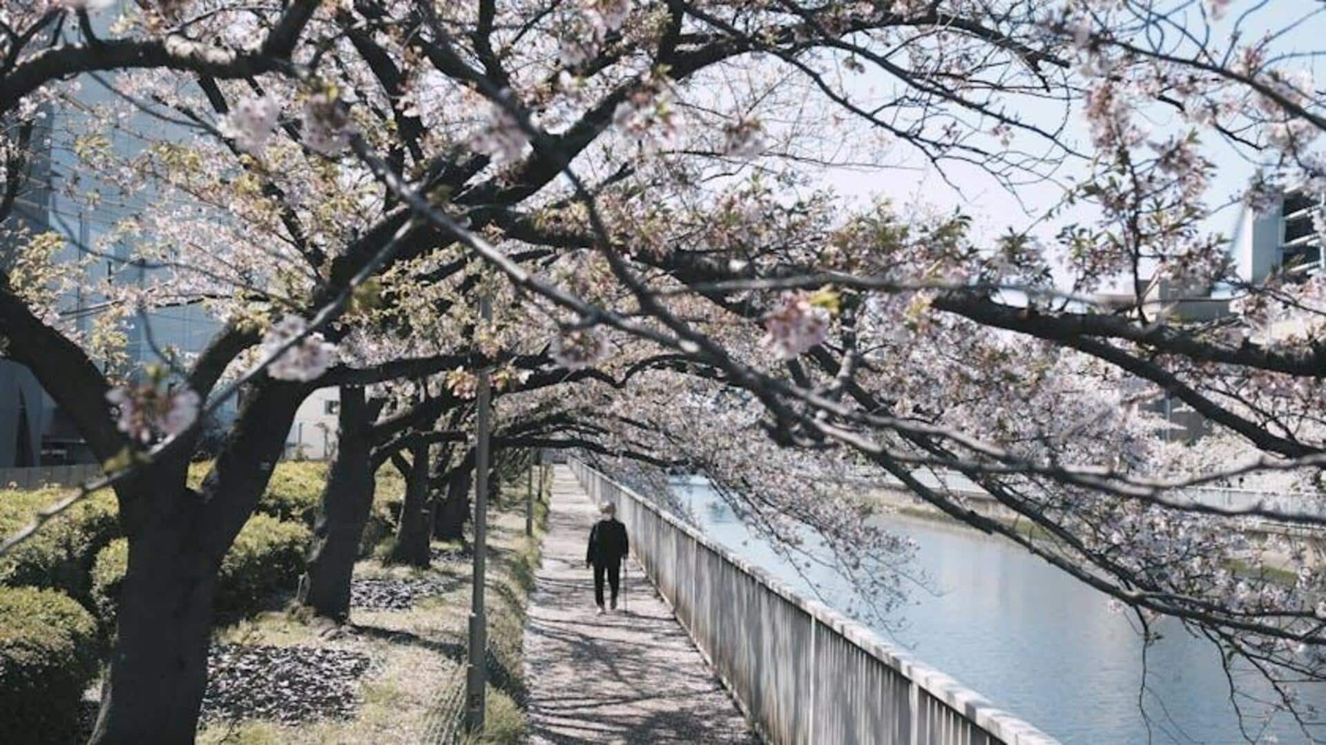 Lima Taman Tersembunyi untuk Dijelajahi di Tokyo