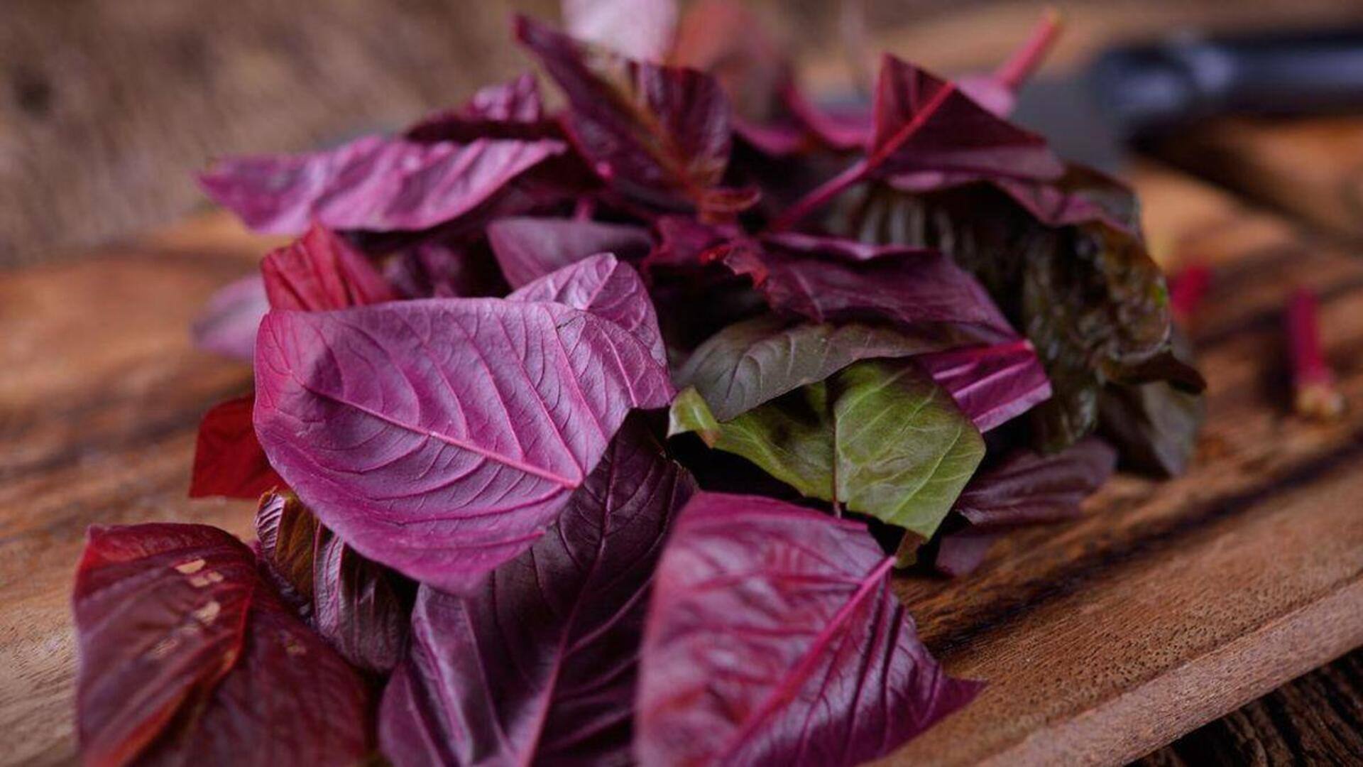 Sederet Resep Unik dengan Bahan Dasar Daun Bayam Merah