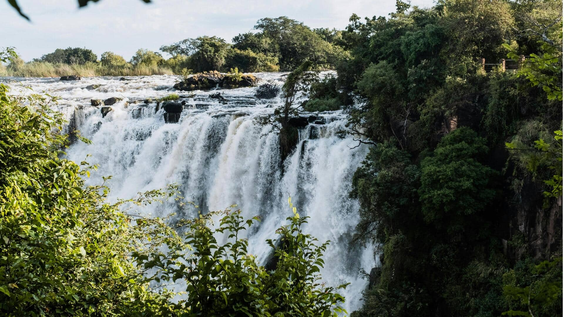 Menjelajahi Hutan Kelelawar Raksasa di Taman Nasional Kasanka, Zambia