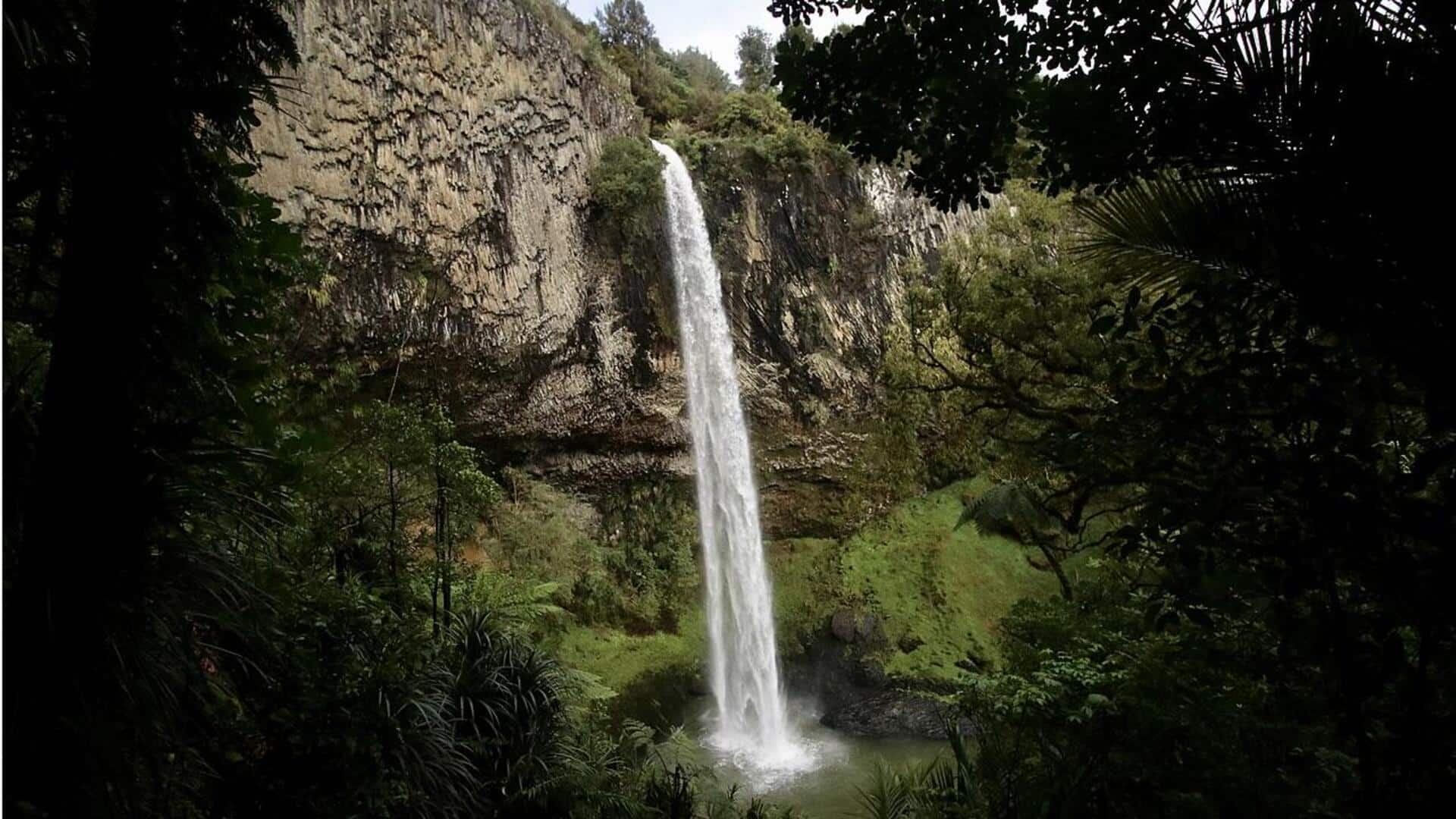 Menjelajahi Air Terjun Tersembunyi di Selandia Baru