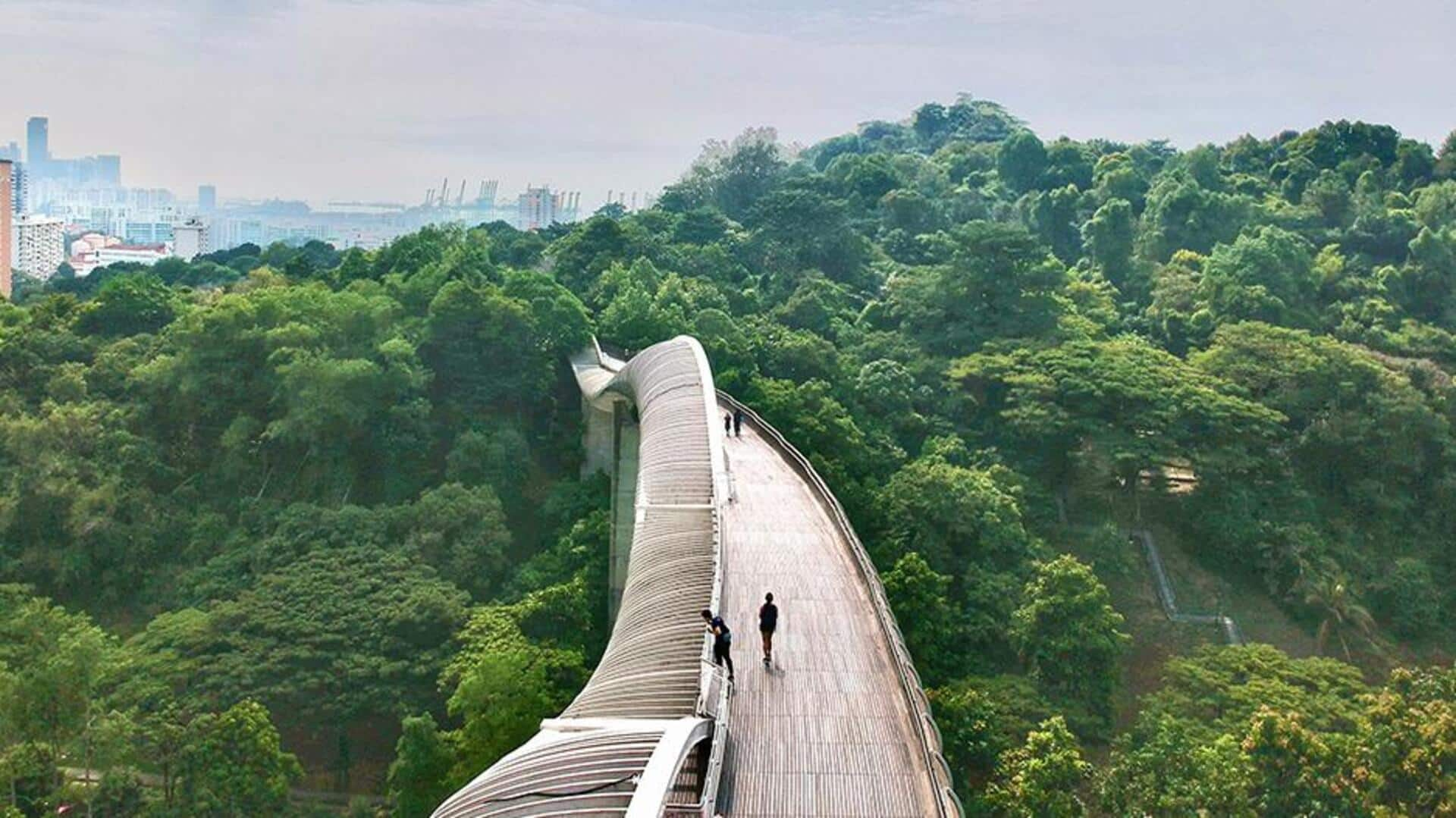 Lima Taman Tersembunyi Di Hutan Kota Singapura