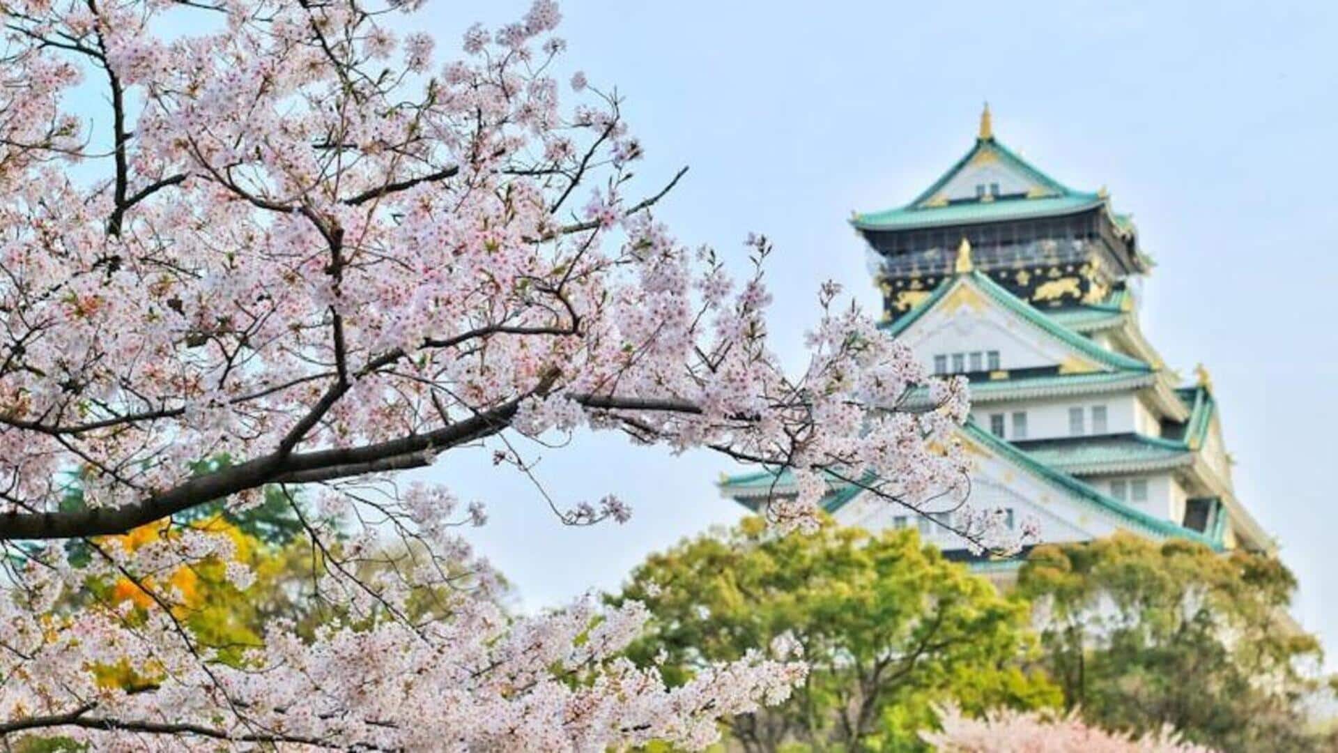 Saksikan Hirosaki, negeri ajaib bunga sakura di Jepang dengan panduan perjalanan ini 