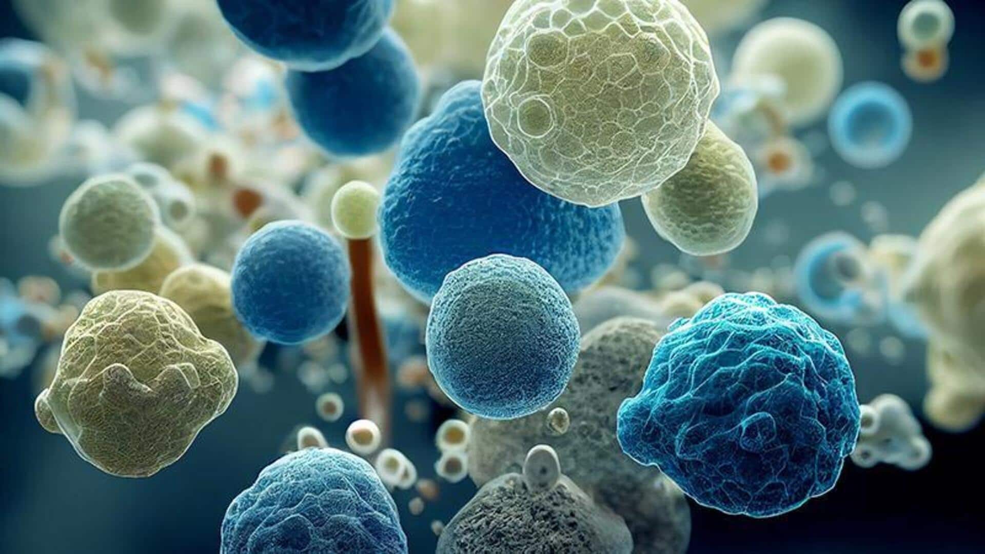 Lima Cara Unik Mikroba dalam Menjelajahi Atmosfer