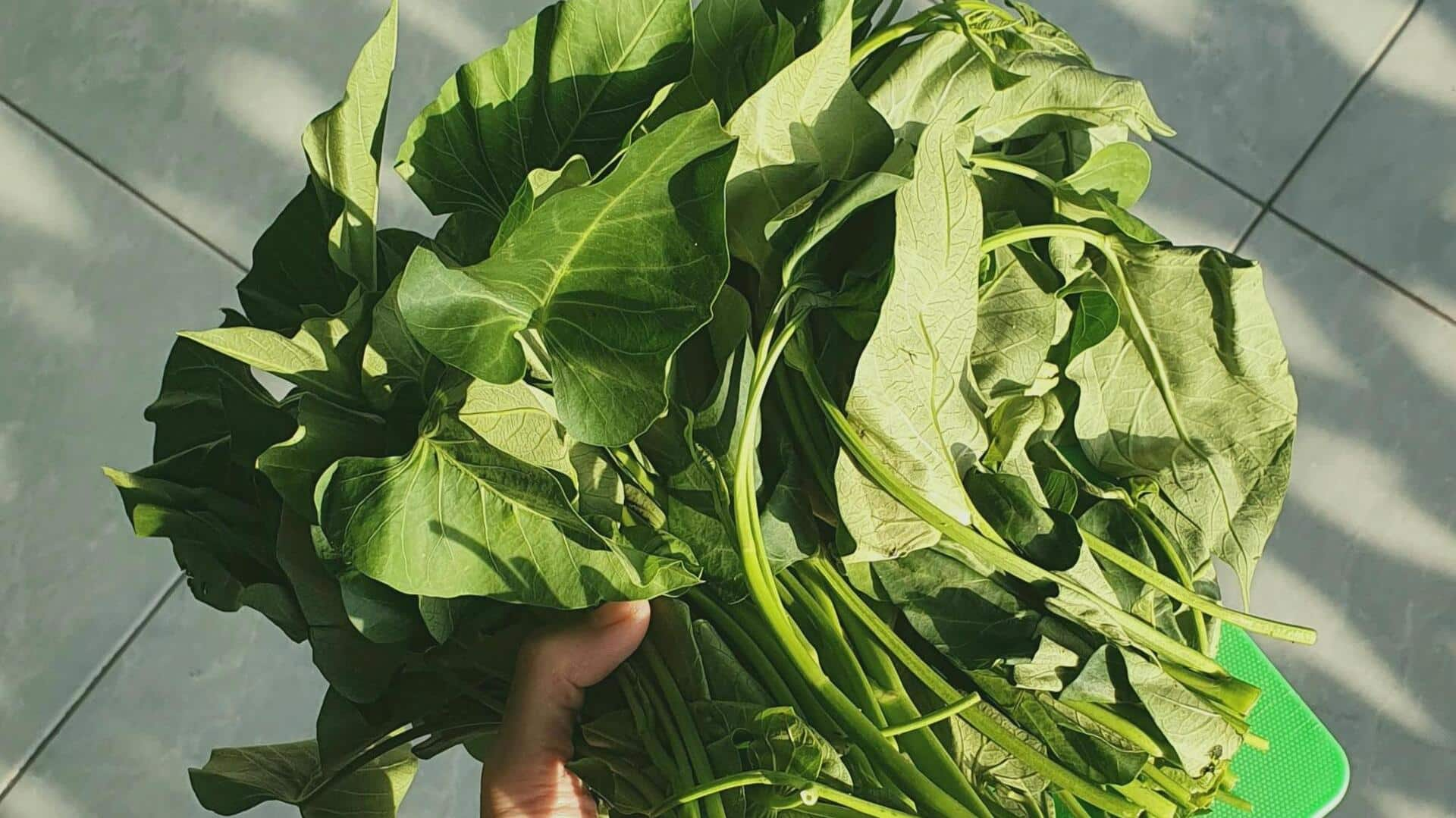 Resep Perawatan Kulit dari Kangkung yang Kaya Vitamin A