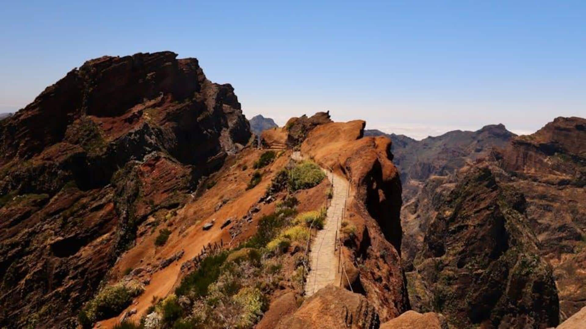 Menjelajahi Jalur Pendakian Portugal untuk Melihat Bunga Liar yang Terancam Punah