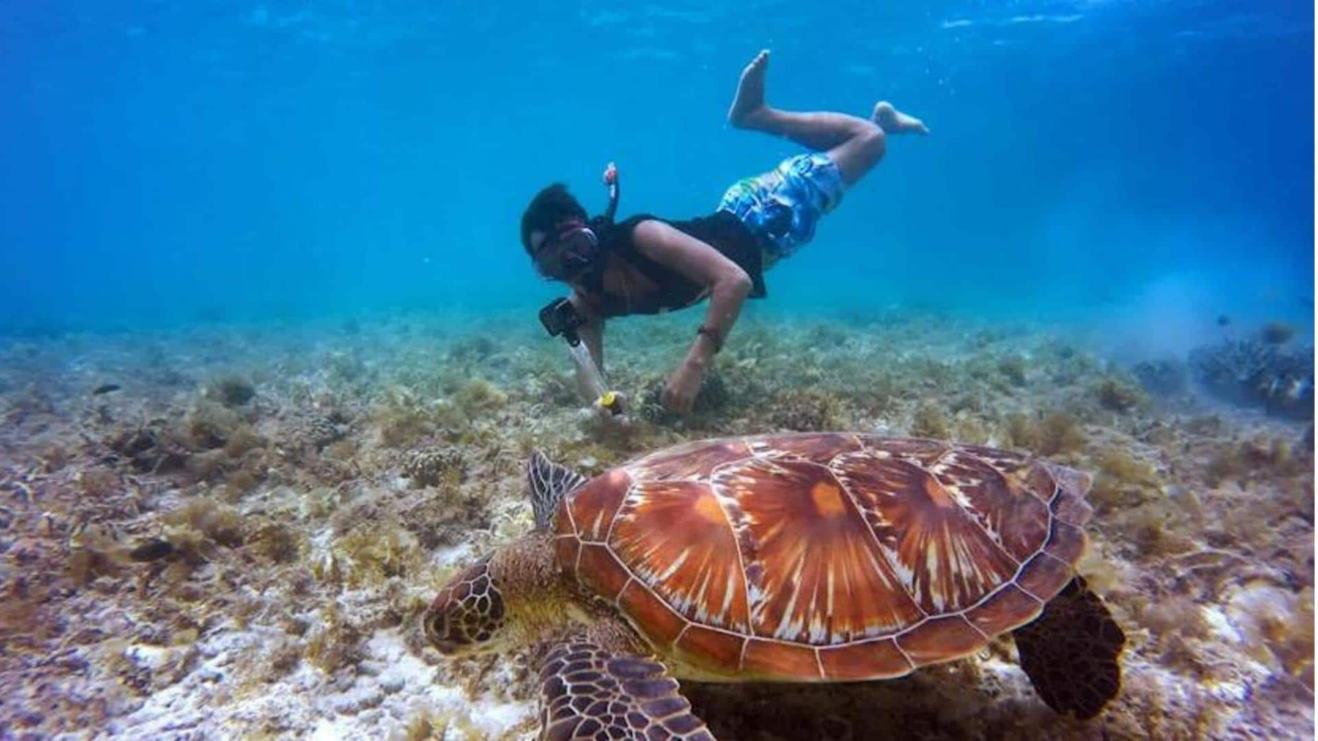 Petualangan snorkeling di Maladewa: Kiat-kiat perencanaan