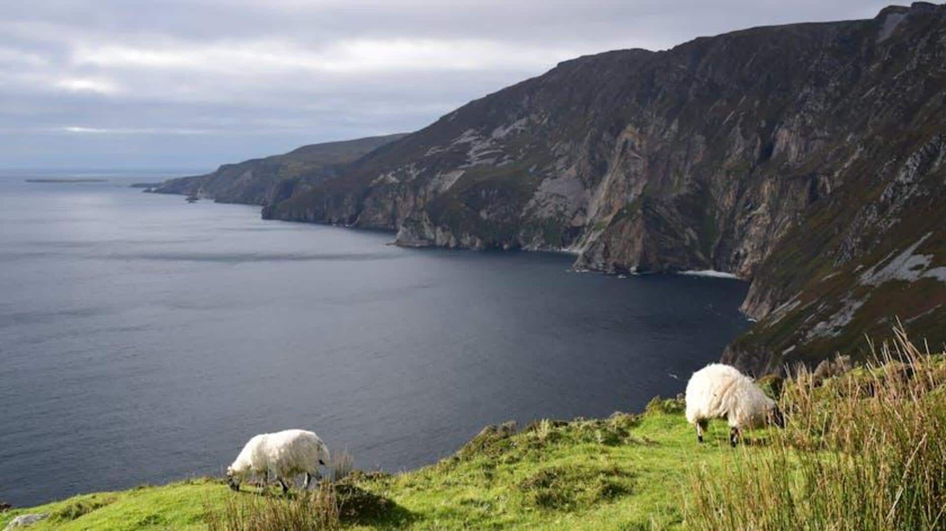Jelajahi Tebing Indah Irlandia