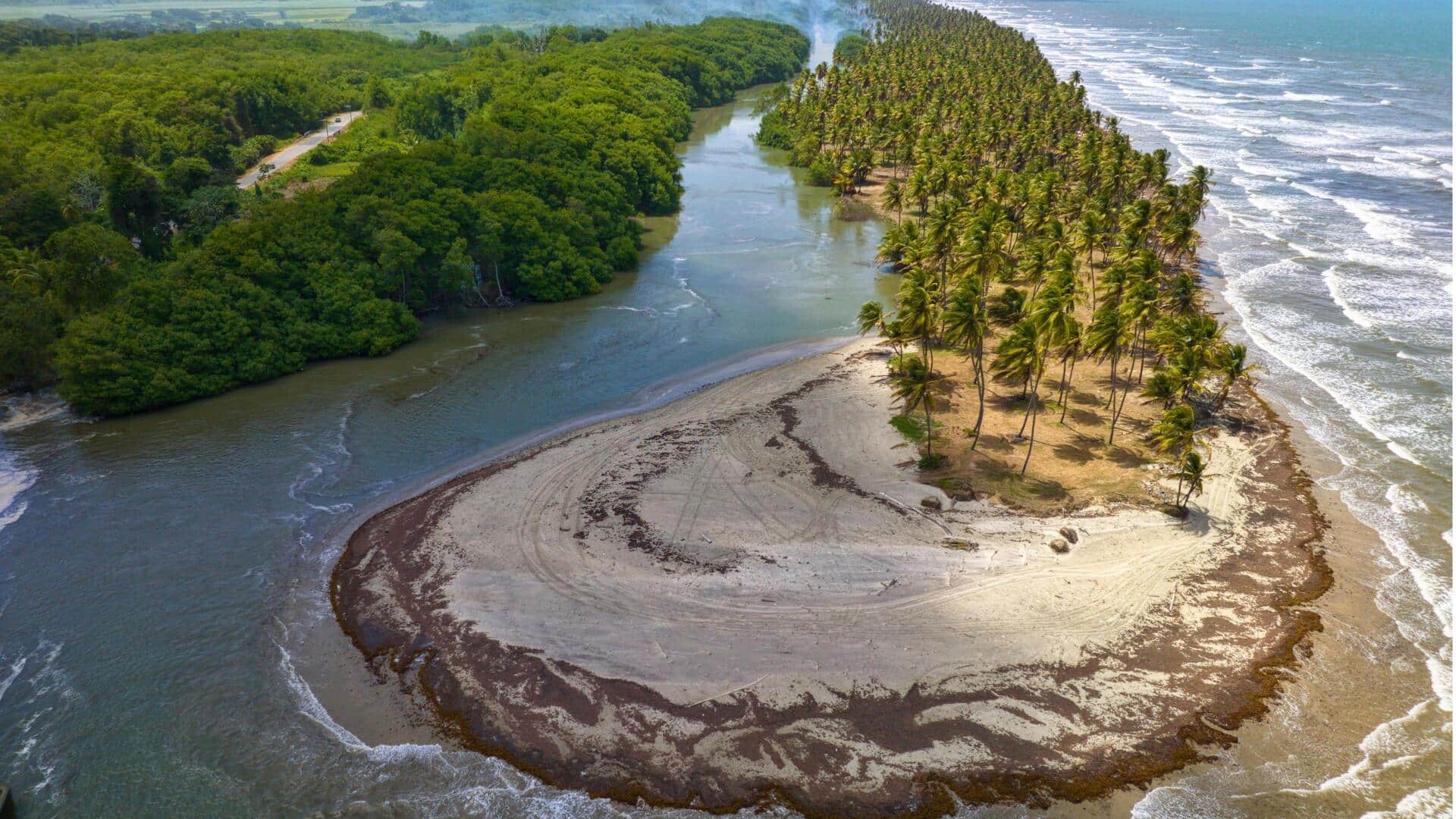 Menjelajahi Keindahan Suaka Burung Kolibri di Trinidad