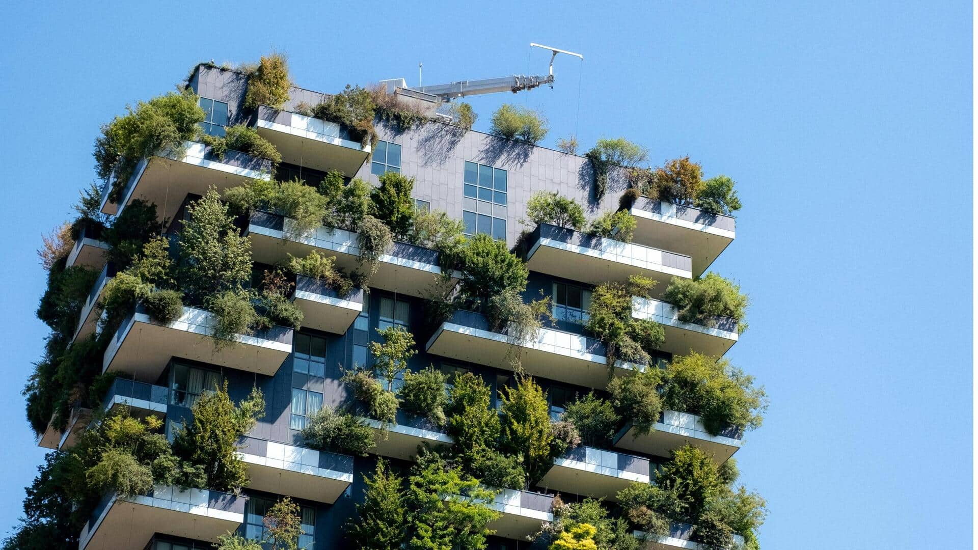 Taman Vertikal dan Perannya dalam Mendinginkan Lingkungan Perkotaan