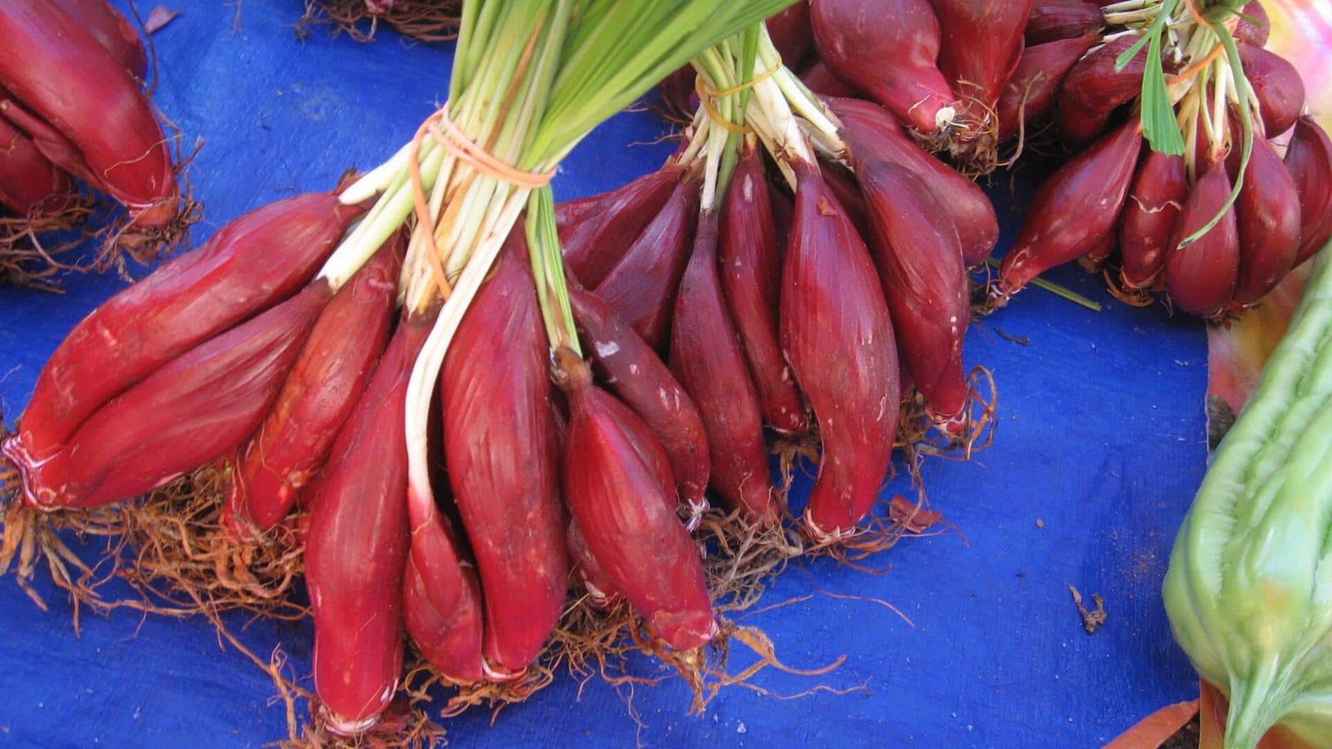 Lima Resep Indonesia Dengan Bahan Dasar Bawang Dayak