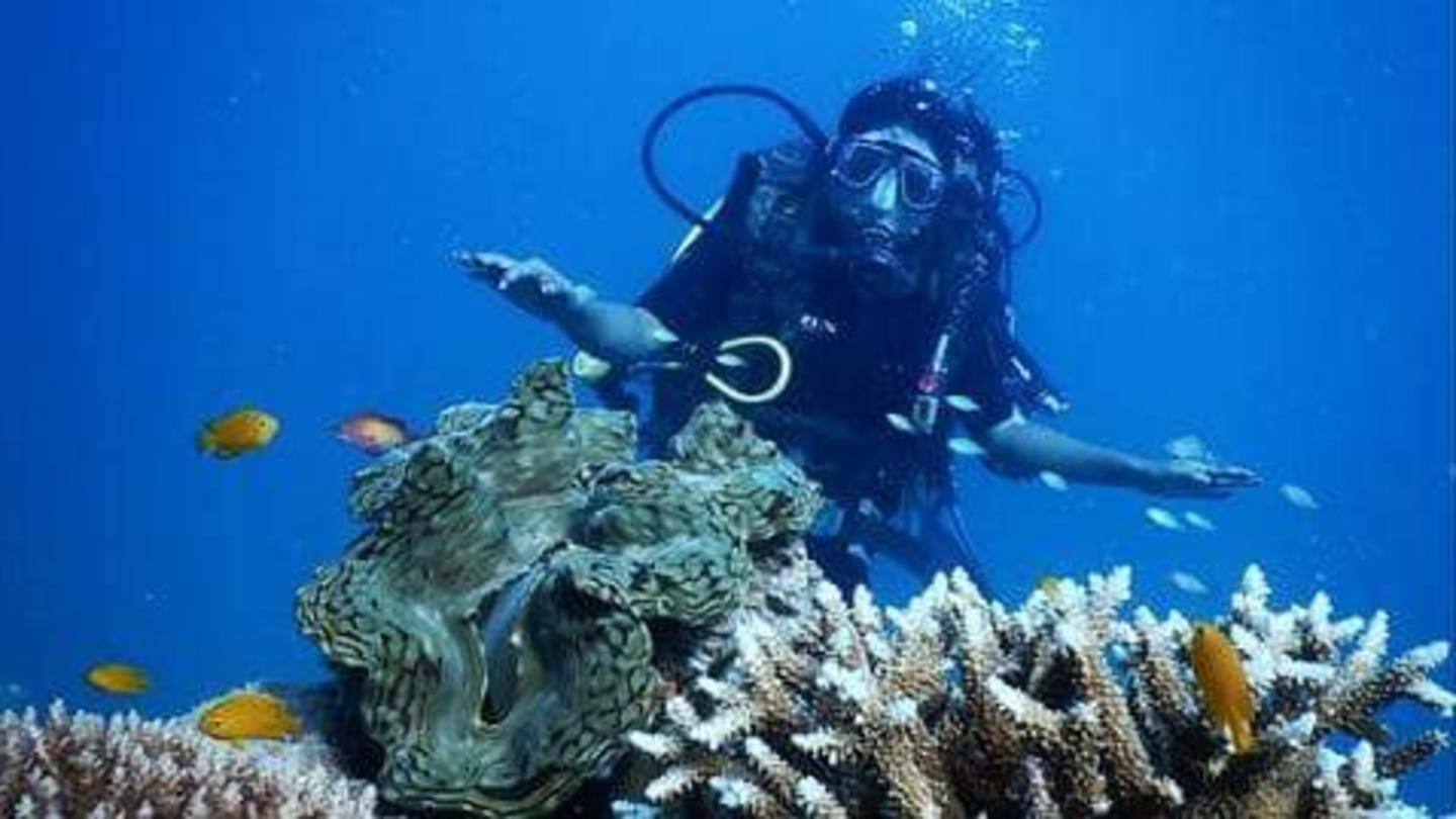 5 spot scuba diving terbaik yang patut dijajal di India