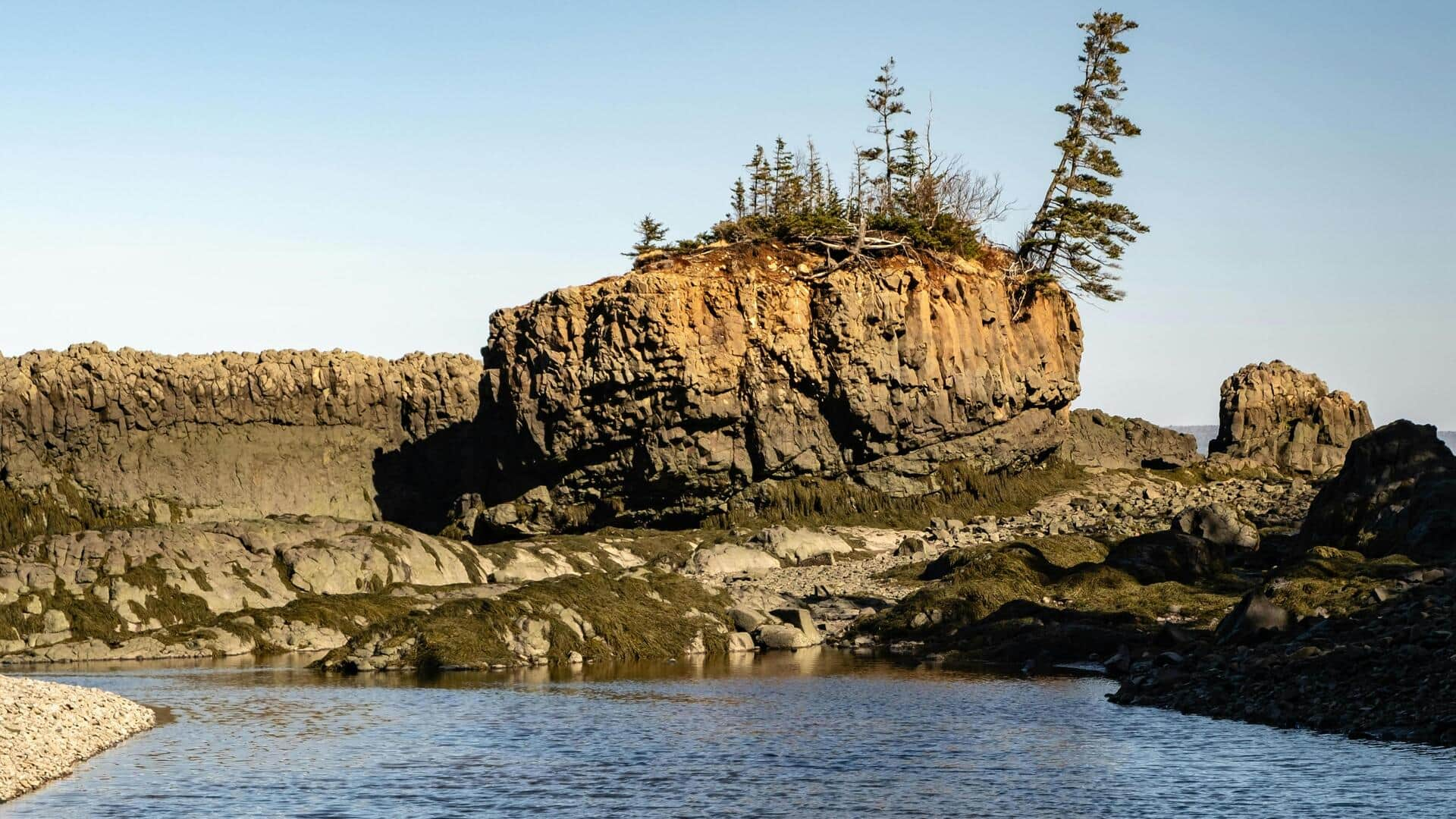 Menjelajahi Keajaiban Teluk Fundy, Kanada