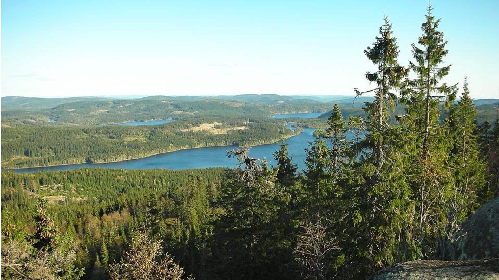 Tempat Alam Indah di Oslo: Pelarian di Tengah Kota