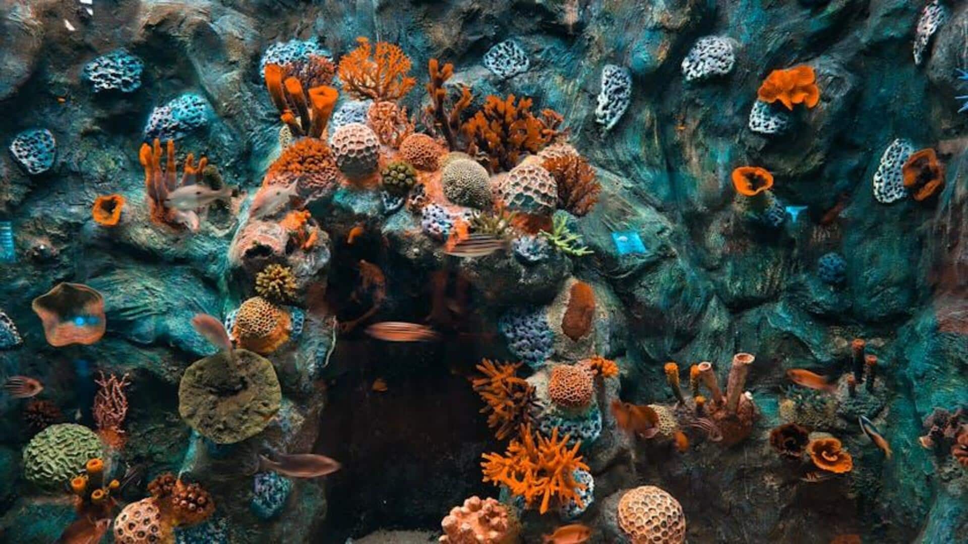 Dampak Limbah Elektronik pada Ekosistem Laut