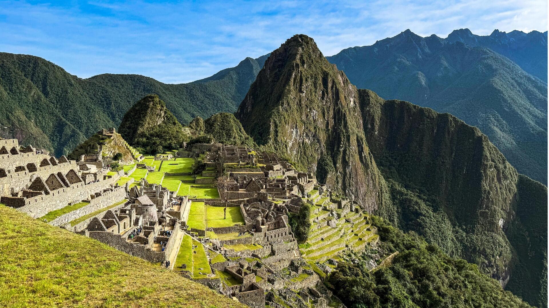 Menjelajahi Andes Peru dengan Treking Alpaka