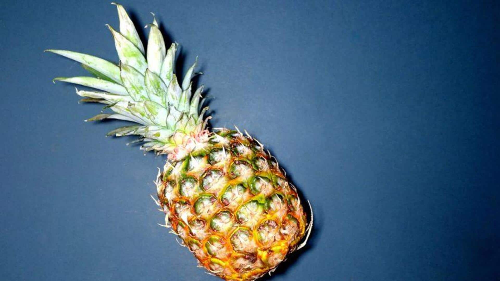 Mempercantik Ruangan dengan Tanaman Nanas Indoor
