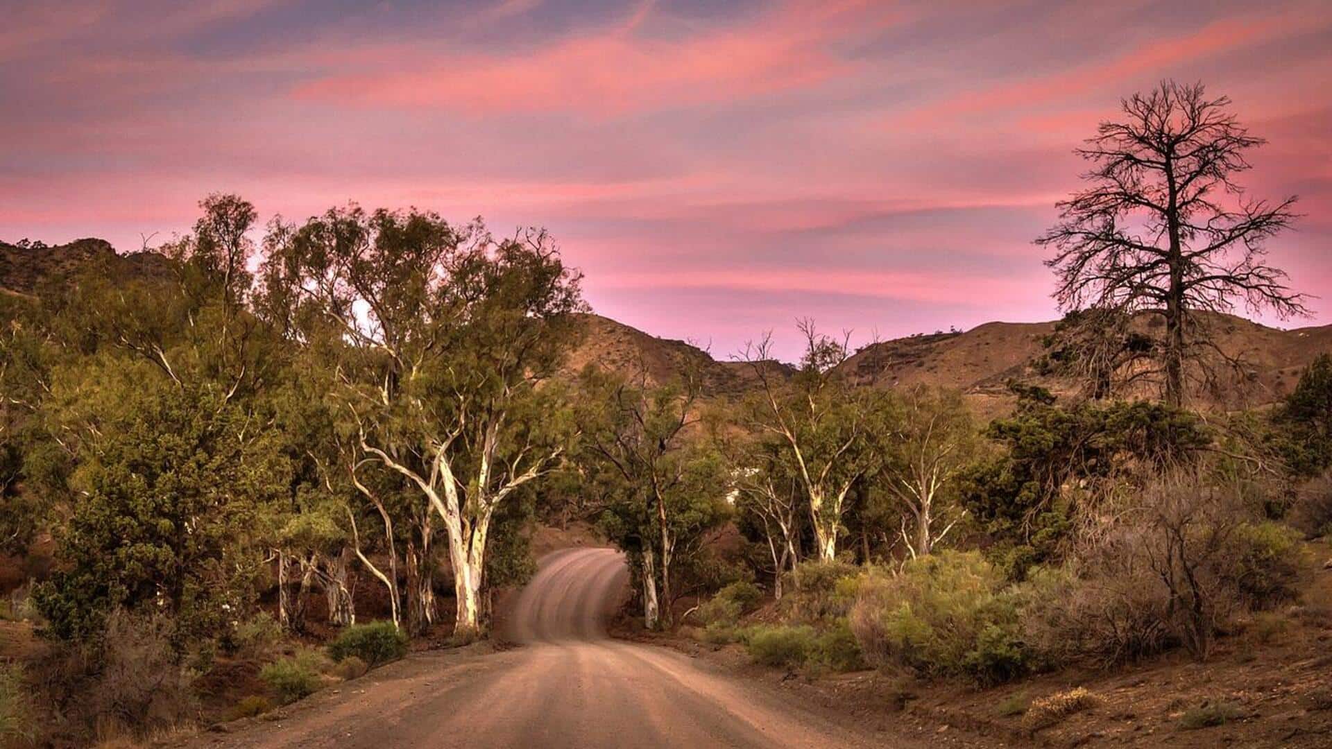 Lima Jurang Sungai Menakjubkan di Australia Selatan