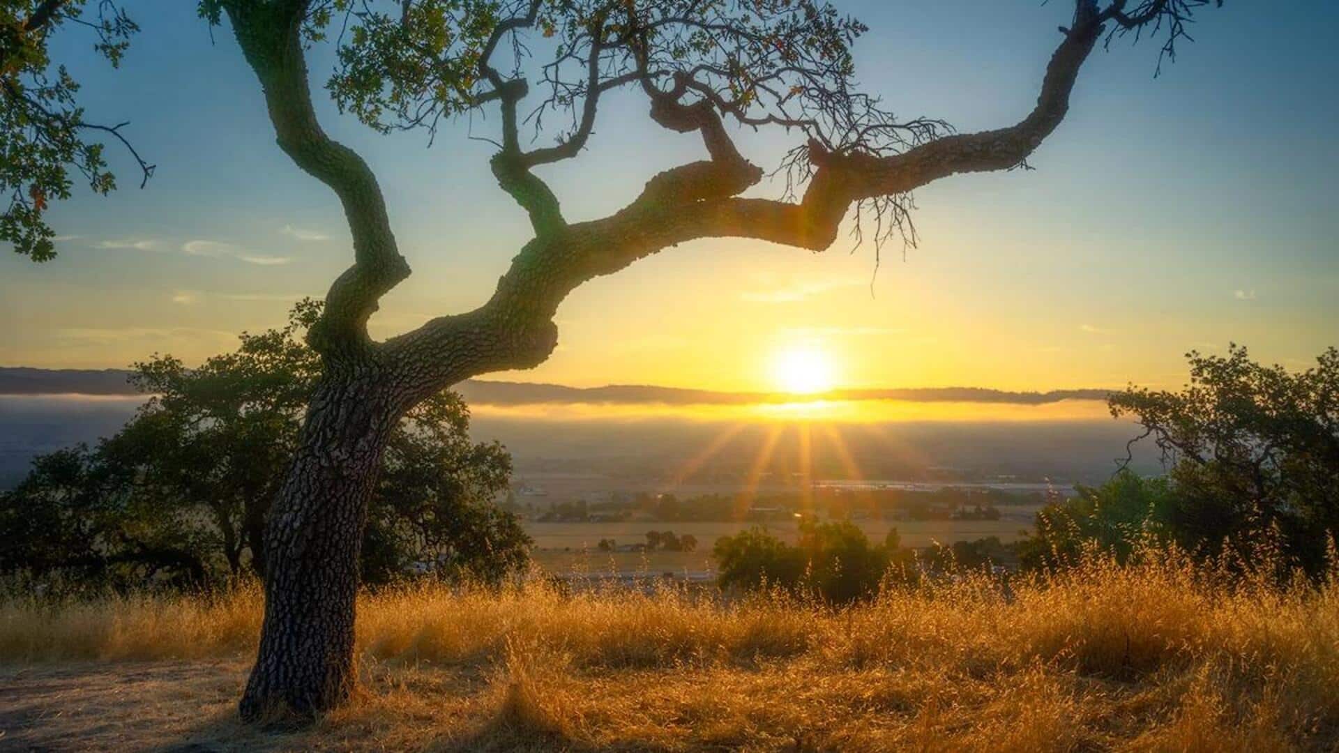 Menangkap Cahaya Pagi: Tips Fotografi Matahari Terbit
