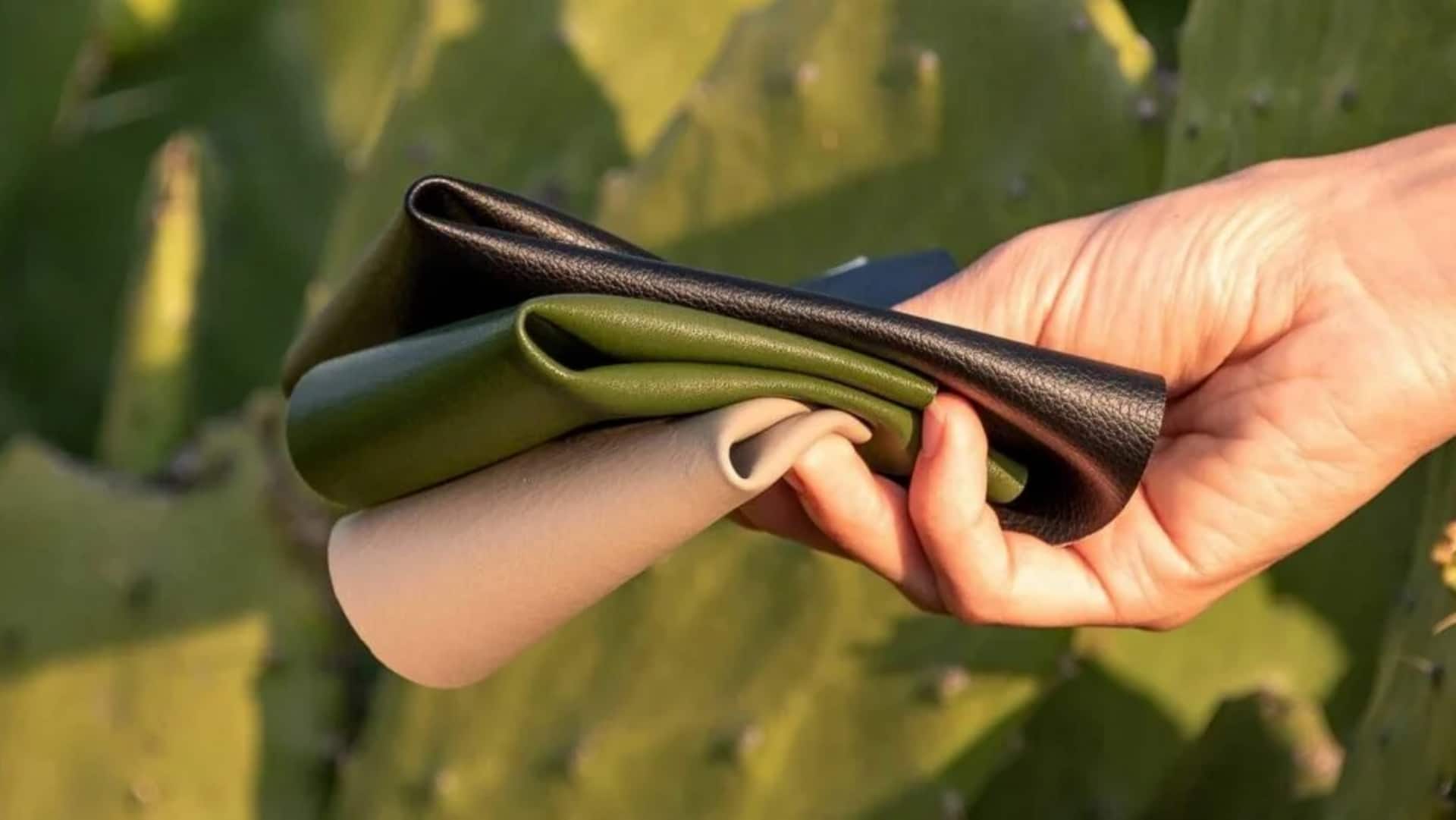 Tekstil berbasis kaktus: Tren mode berkelanjutan