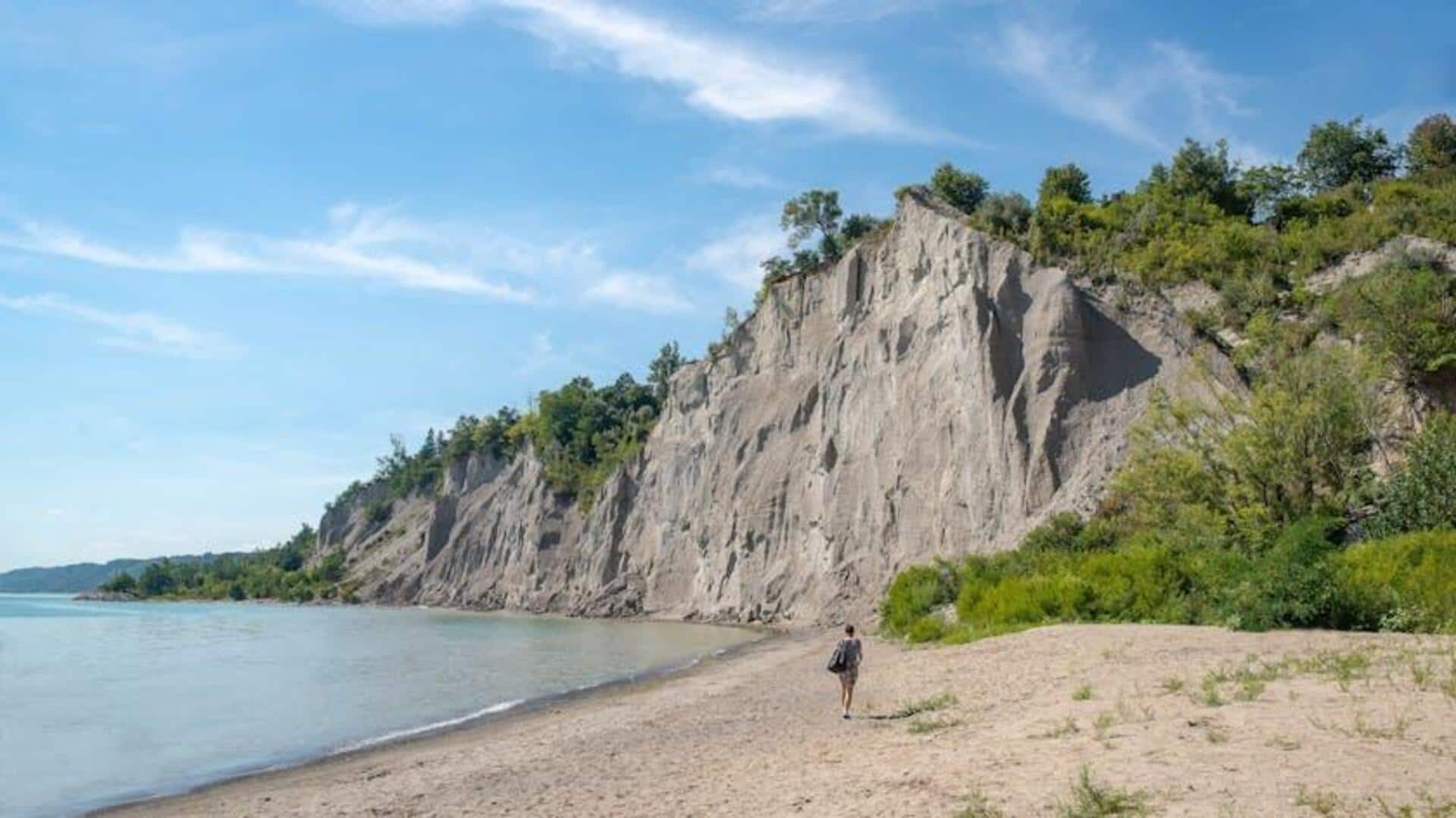 Lima Tempat Menarik untuk Mengamati Satwa Liar di Toronto