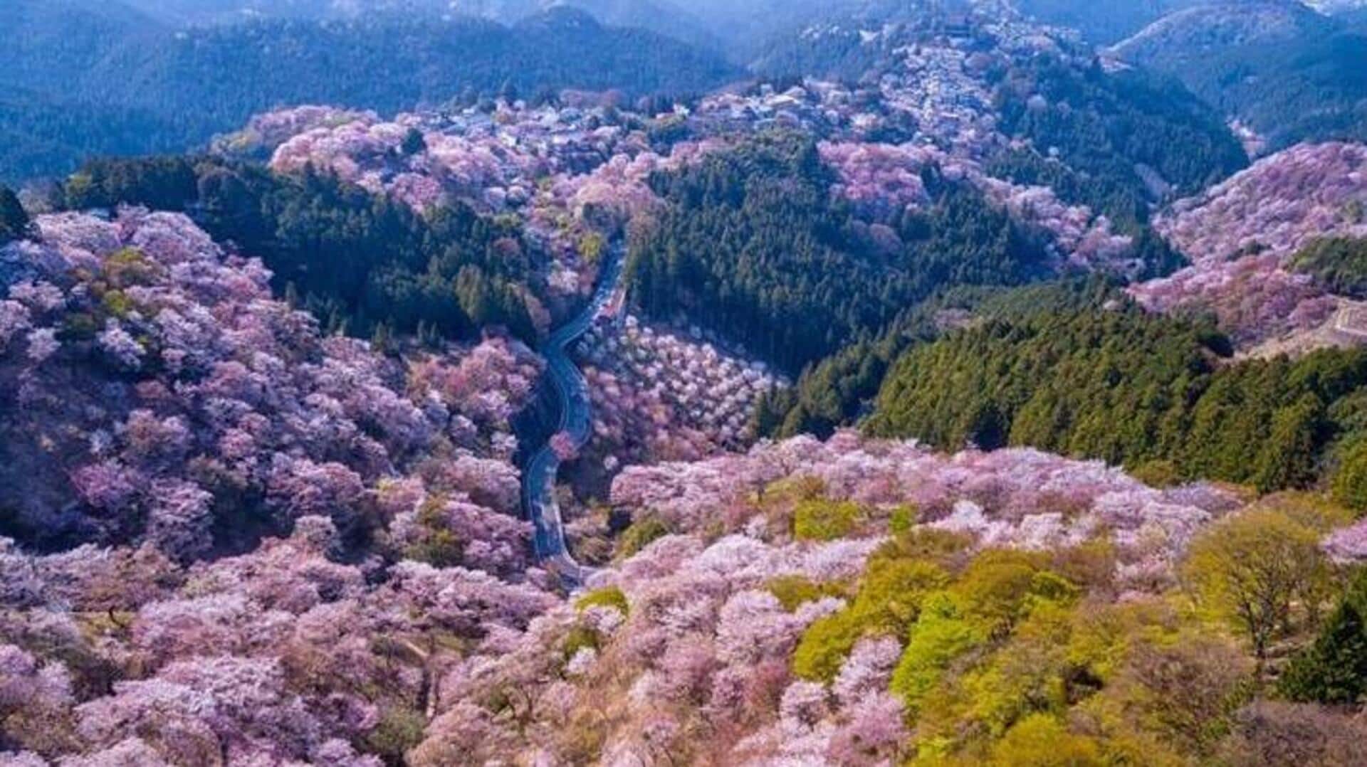 Gunung Yoshino Di Jepang: Kunjungi Tempat-Tempat Menakjubkan Ini