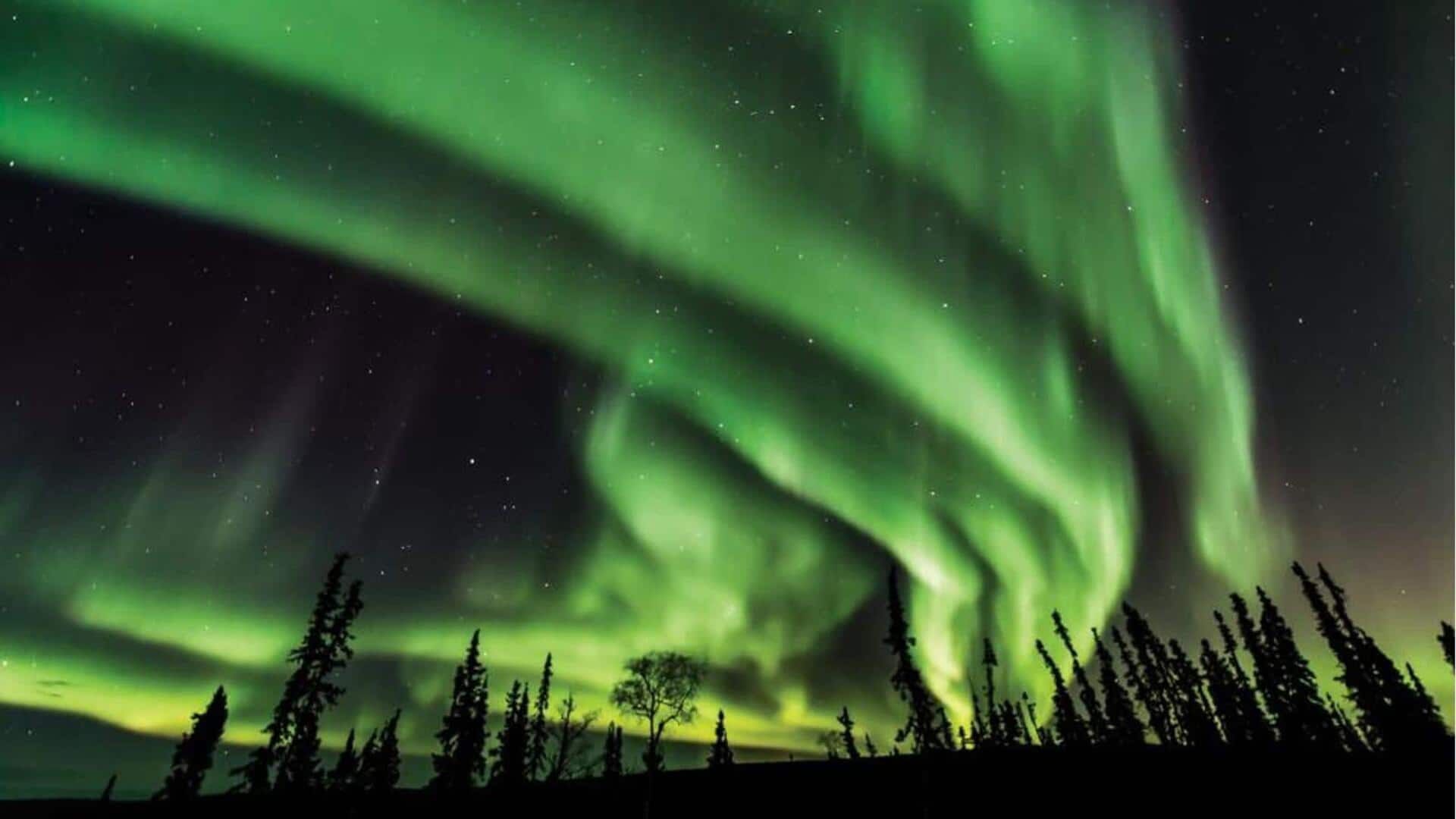 Lihatlah cahaya utara Fairbanks yang mempesona: Panduan perjalanan 