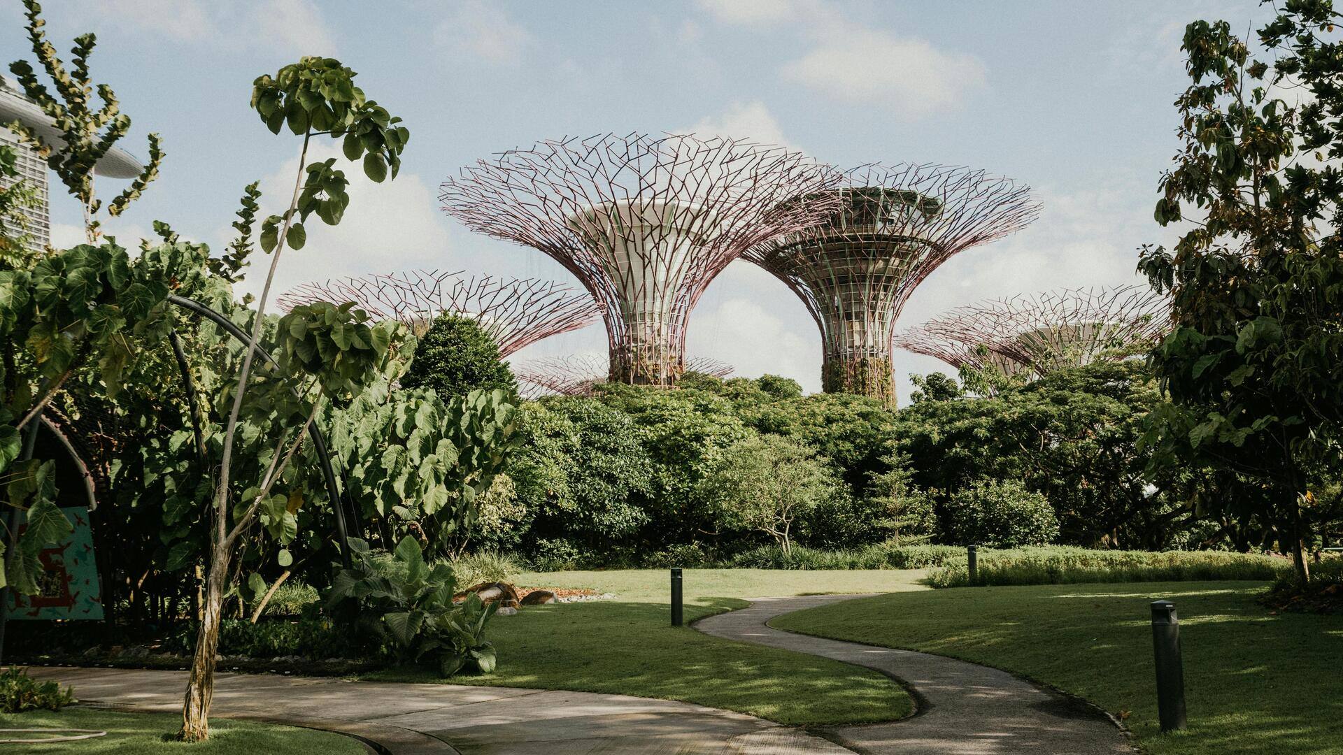 Taman Singapura yang Menakjubkan untuk Dijelajahi