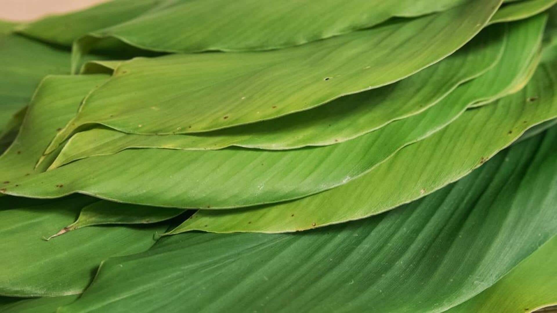 Lima Penggunaan Unik Daun Kunyit yang Wajib Anda Coba