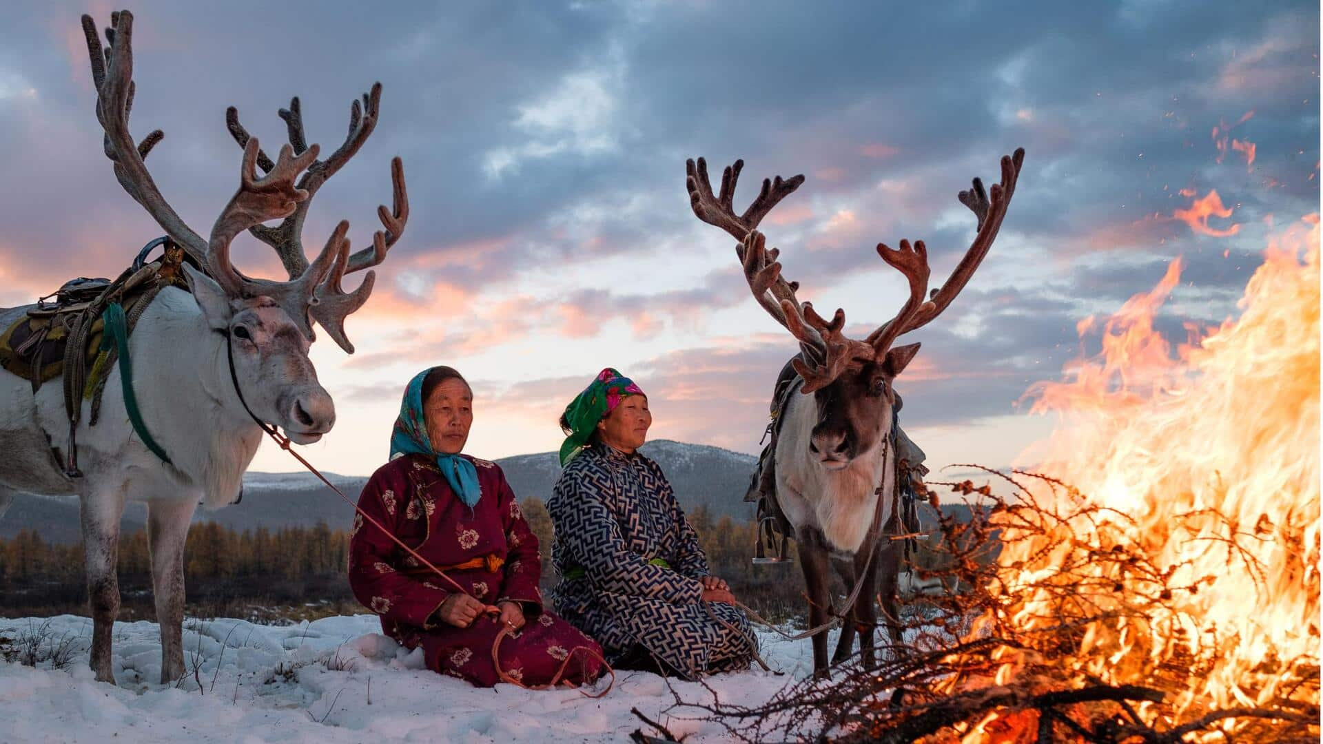 Menyaksikan Tradisi Penggembalaan Rusa Nomaden Dari Suku Tsaatan Mongolia