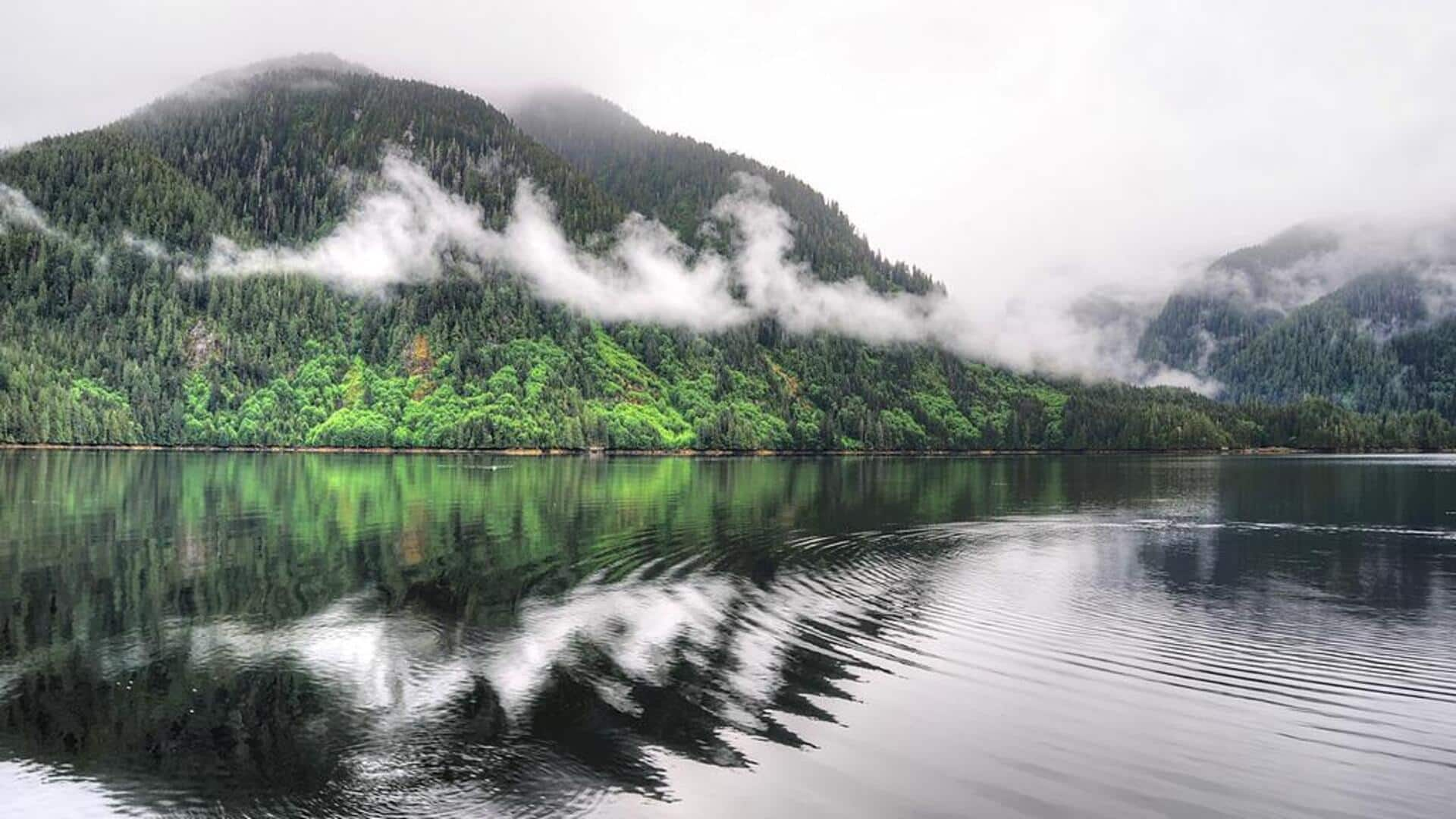 Menjelajahi keajaiban Great Bear Rainforest, Kanada