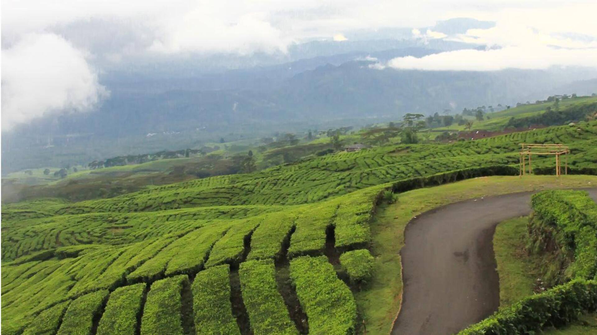 Jalur Gunung Ikonik di Indonesia yang Wajib Anda Kunjungi Jalur Gunung Ikonik di Indonesia yang Wajib Anda Kunjungi