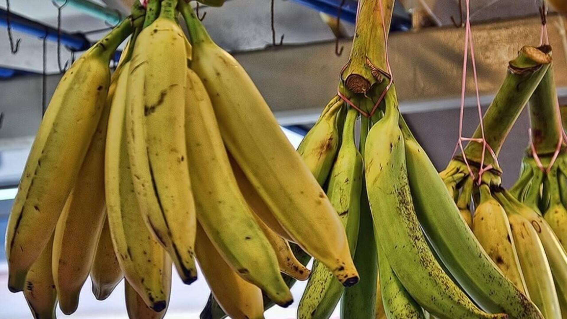 Menikmati Perpaduan Pisang Tanduk dalam Kreasi Sayuran Indonesia