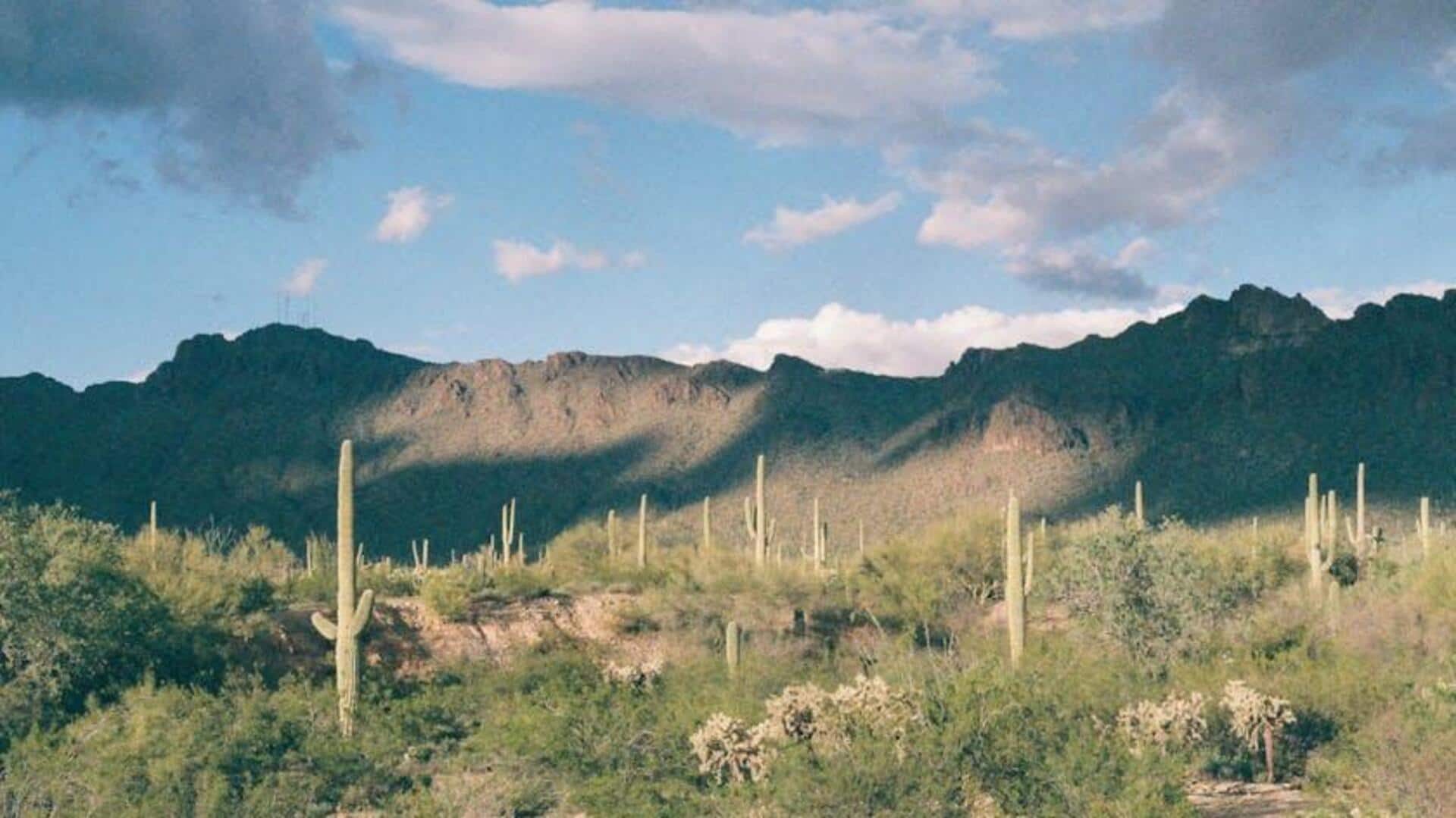 Lima Konservatori Botani Terbaik di Amerika Serikat yang Wajib Dikunjungi