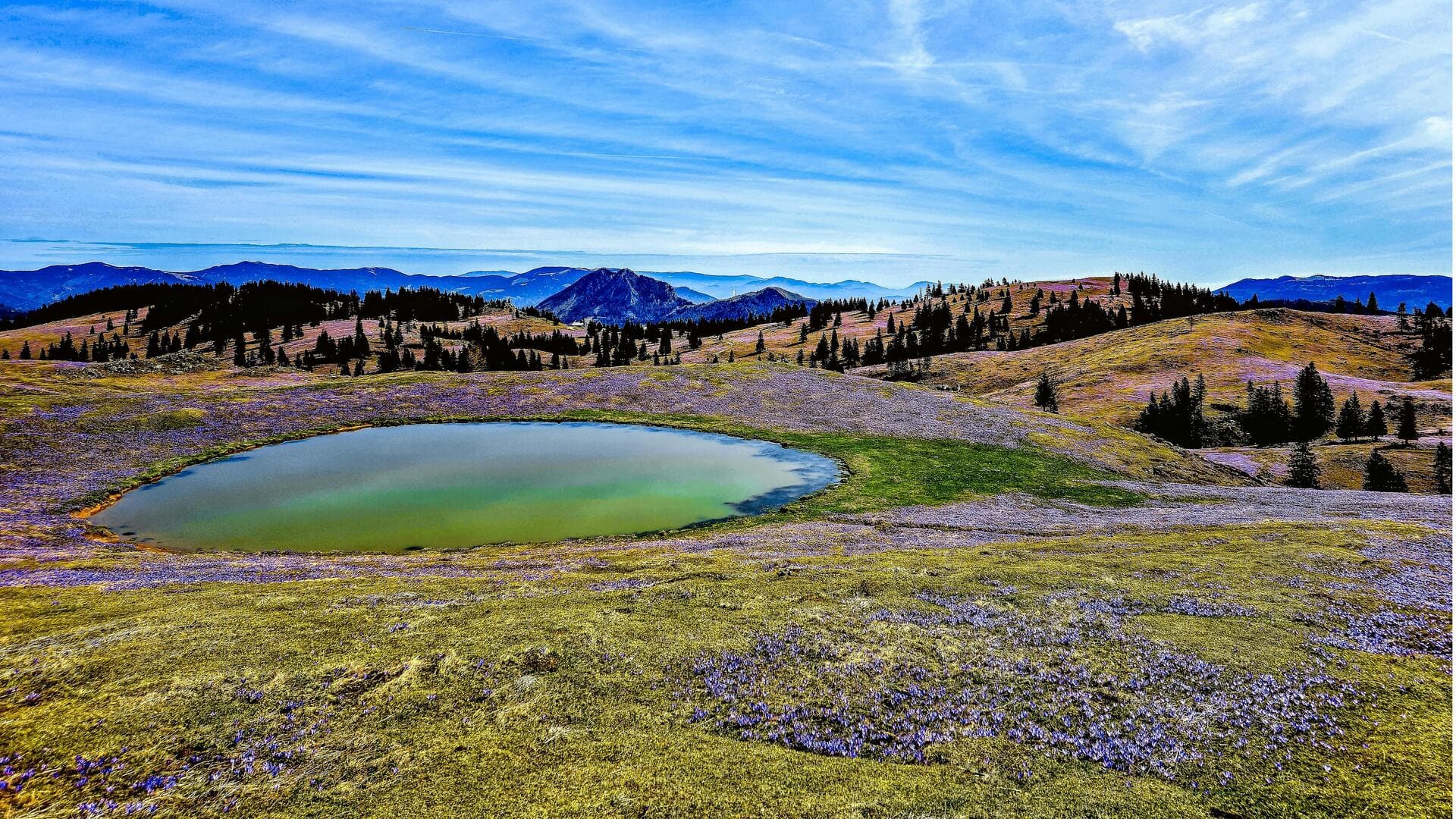 Jelajahi Keindahan Alam Slovenia dengan Jalan Bukit yang Indah