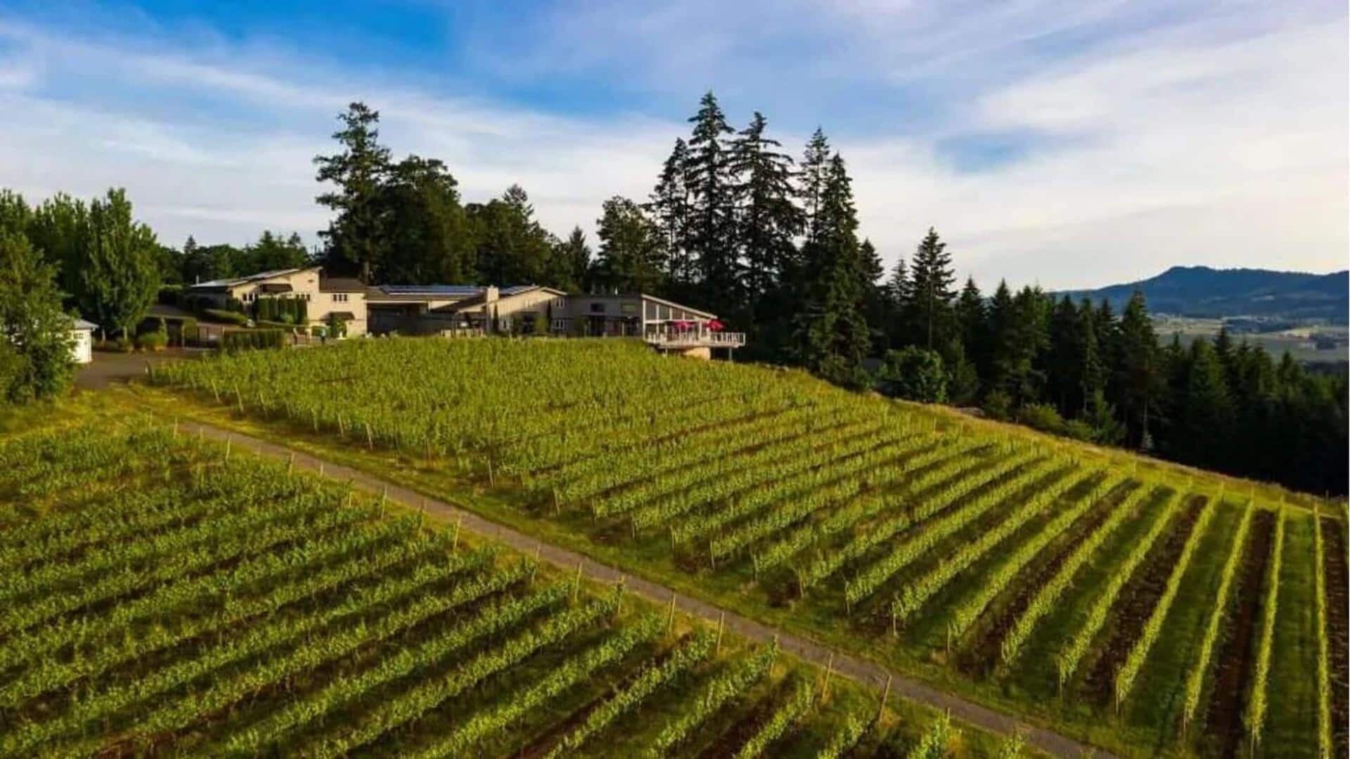 Temukan permata kebun anggur Portland dengan panduan perjalanan ini 