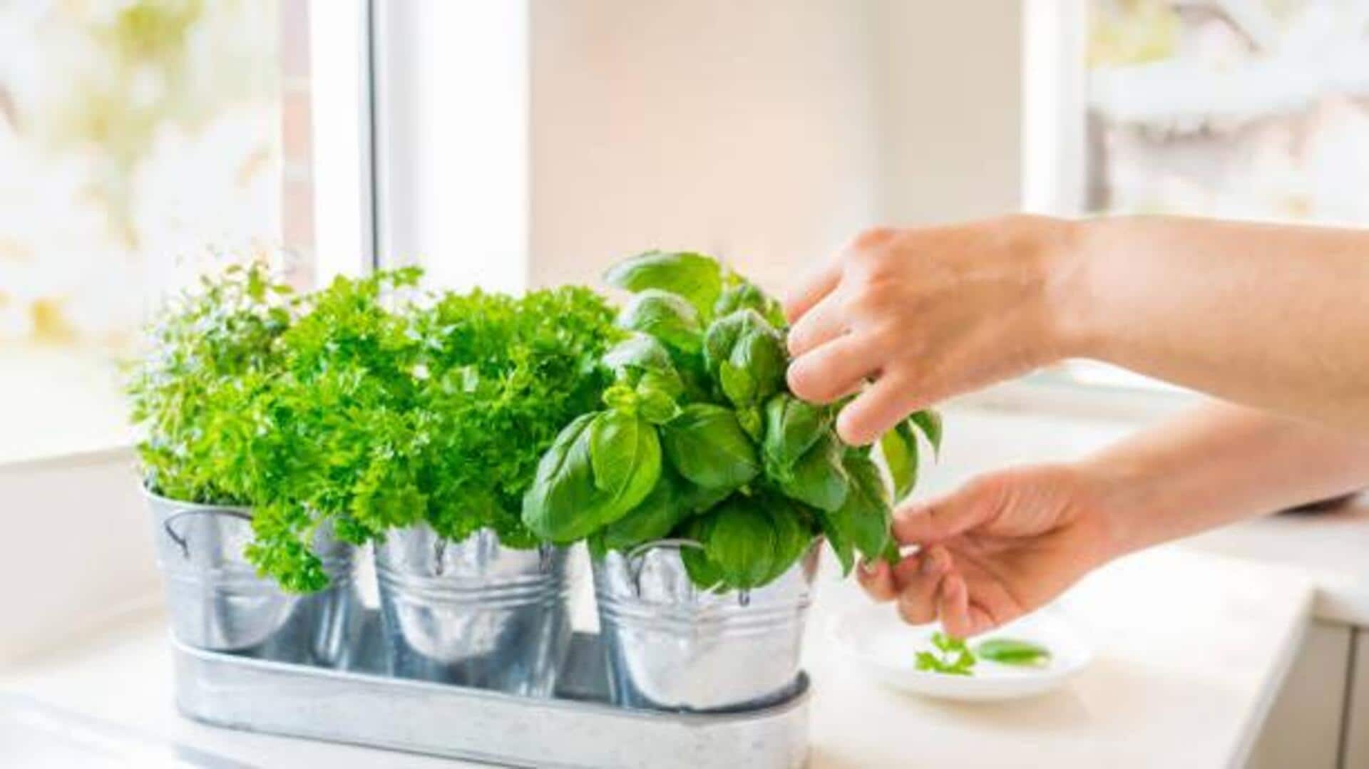 Ubah herbal dapur menjadi campuran rempah unik