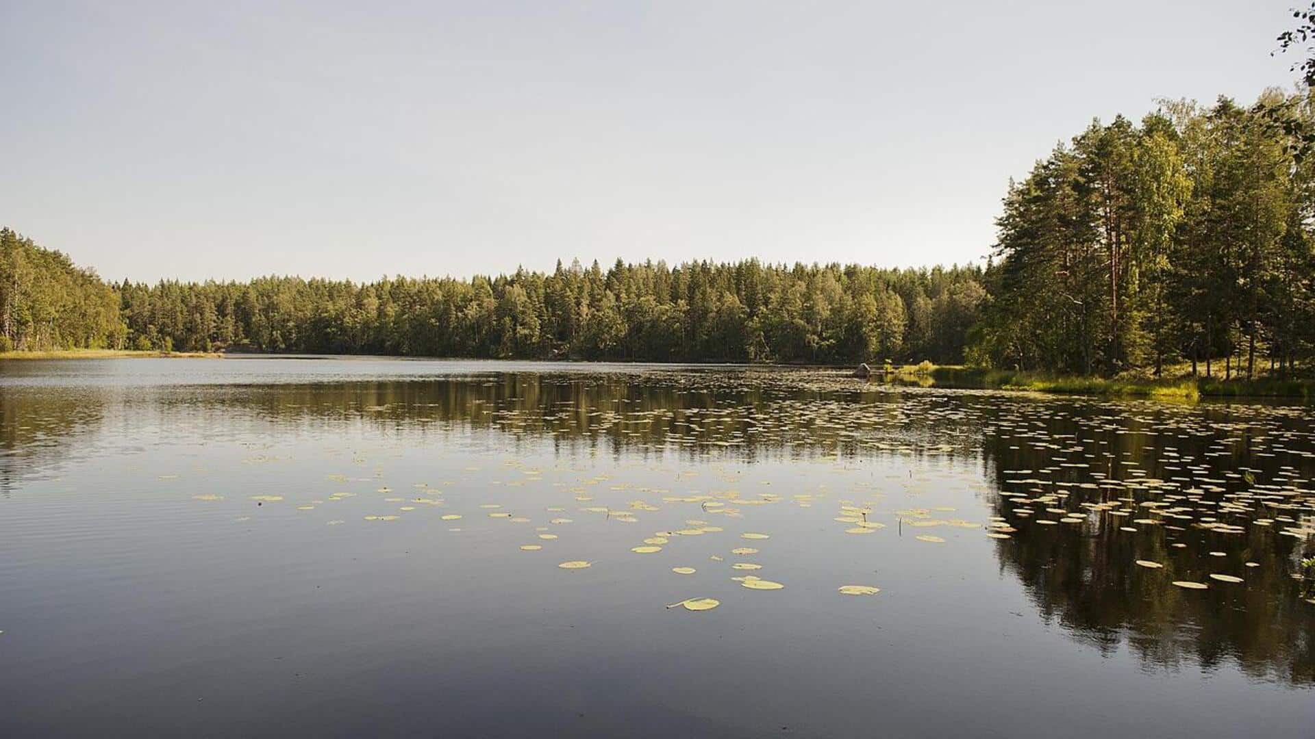 Mencari Ketenangan di Taman Nasional Nuuksio, Finlandia