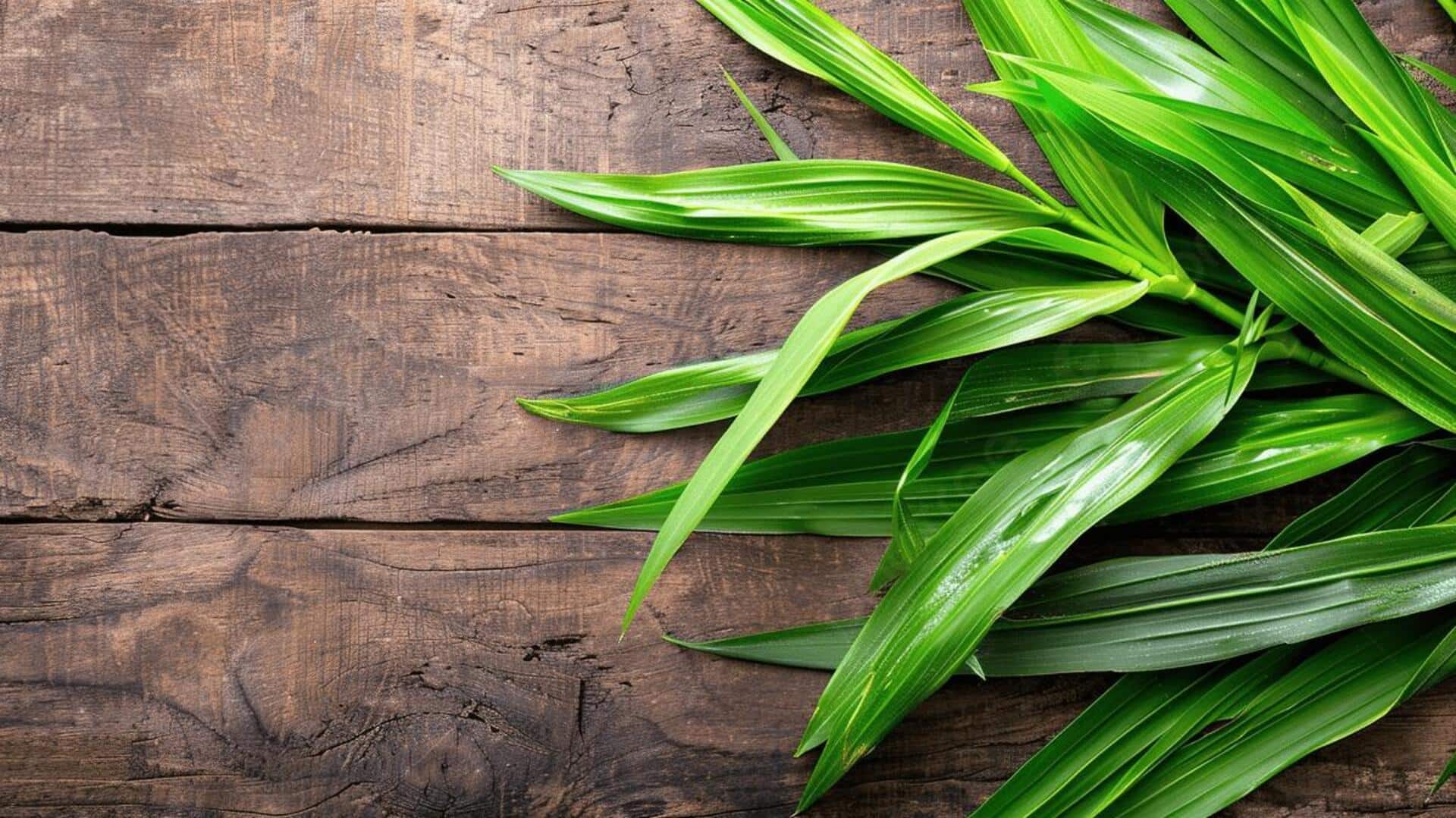 Herbal Indonesia yang Mengubah Cita Rasa Hidangan Global