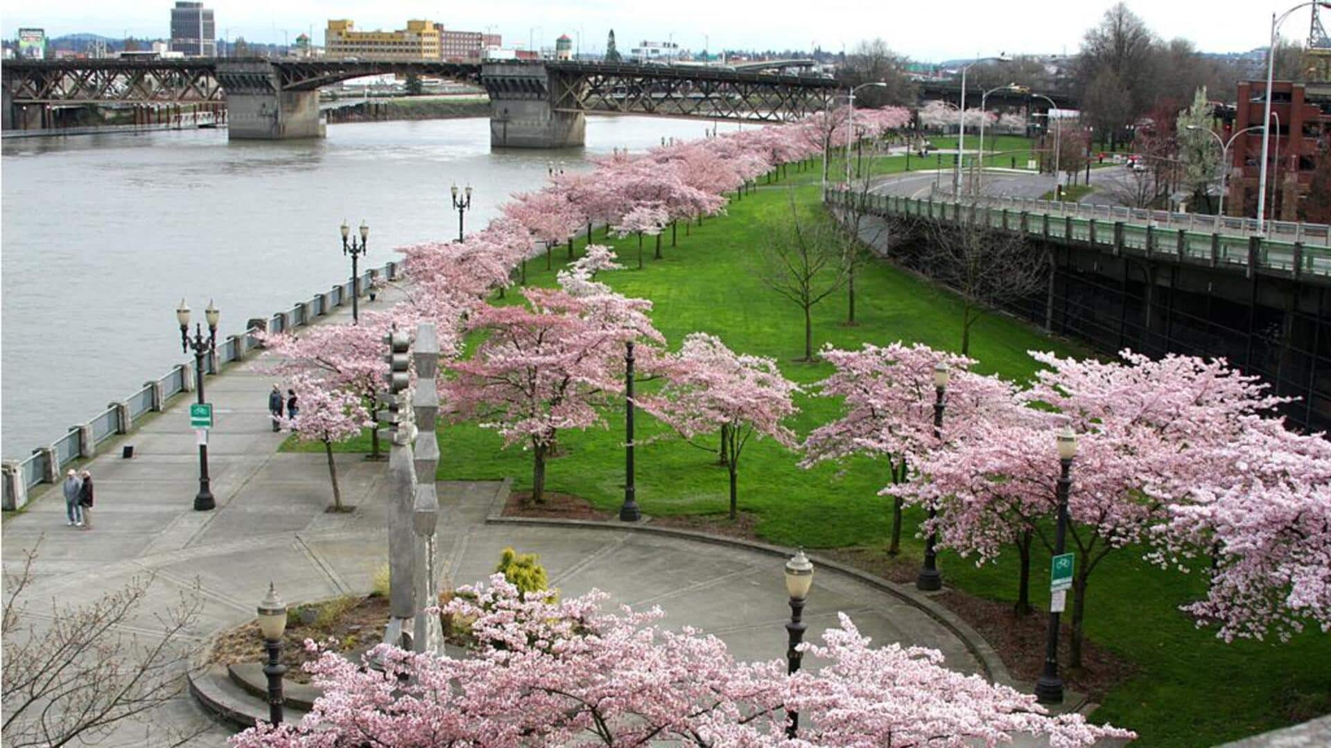 Sederet Taman Tepi Sungai Terbaik Di Portland