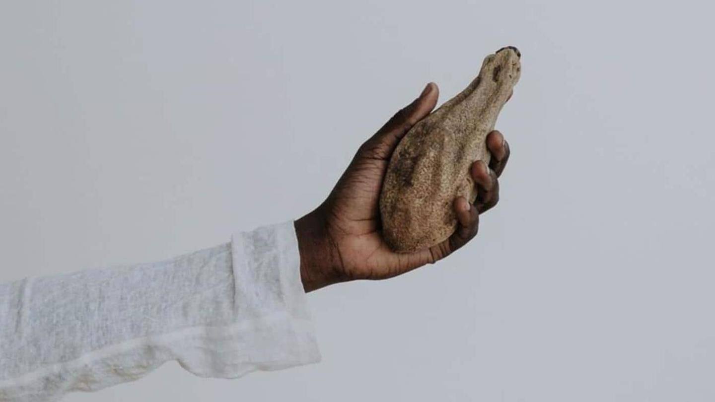 Kigelia Africana: Tumbuhan Afrika yang populer dalam perawatan kulit masa kini