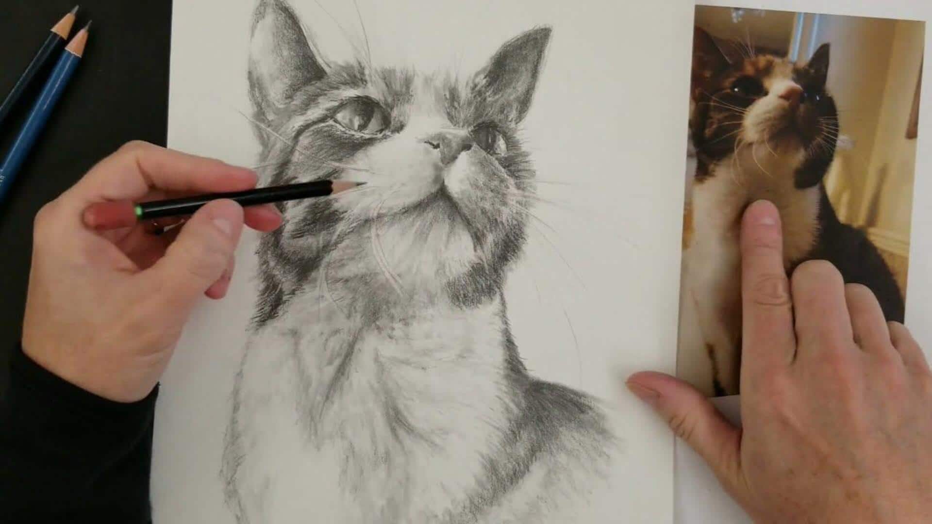 Lima Tips Untuk Menggambar Hewan Peliharaan dari Foto