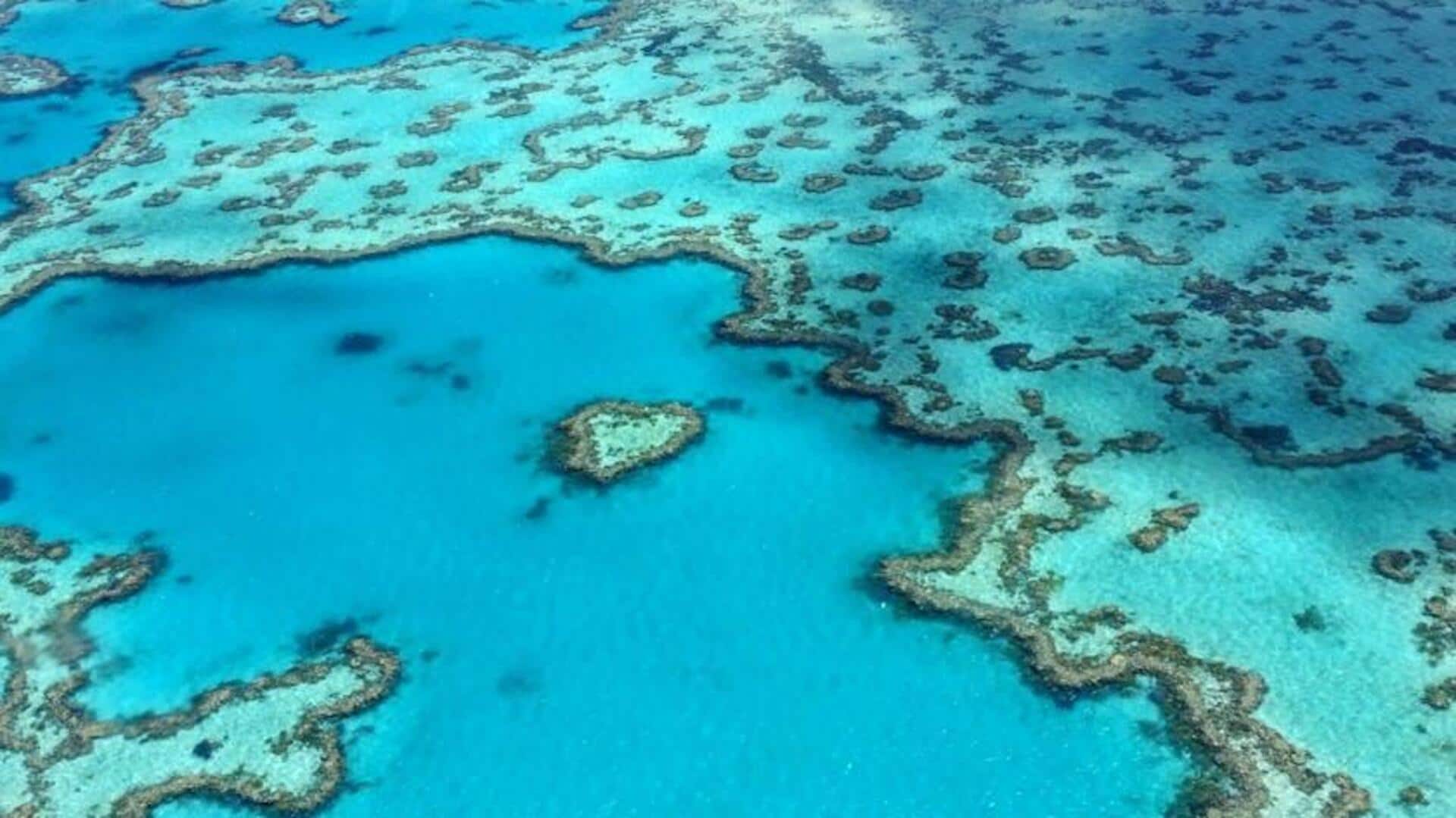 Menemukan Ekosistem Great Barrier Reef Australia