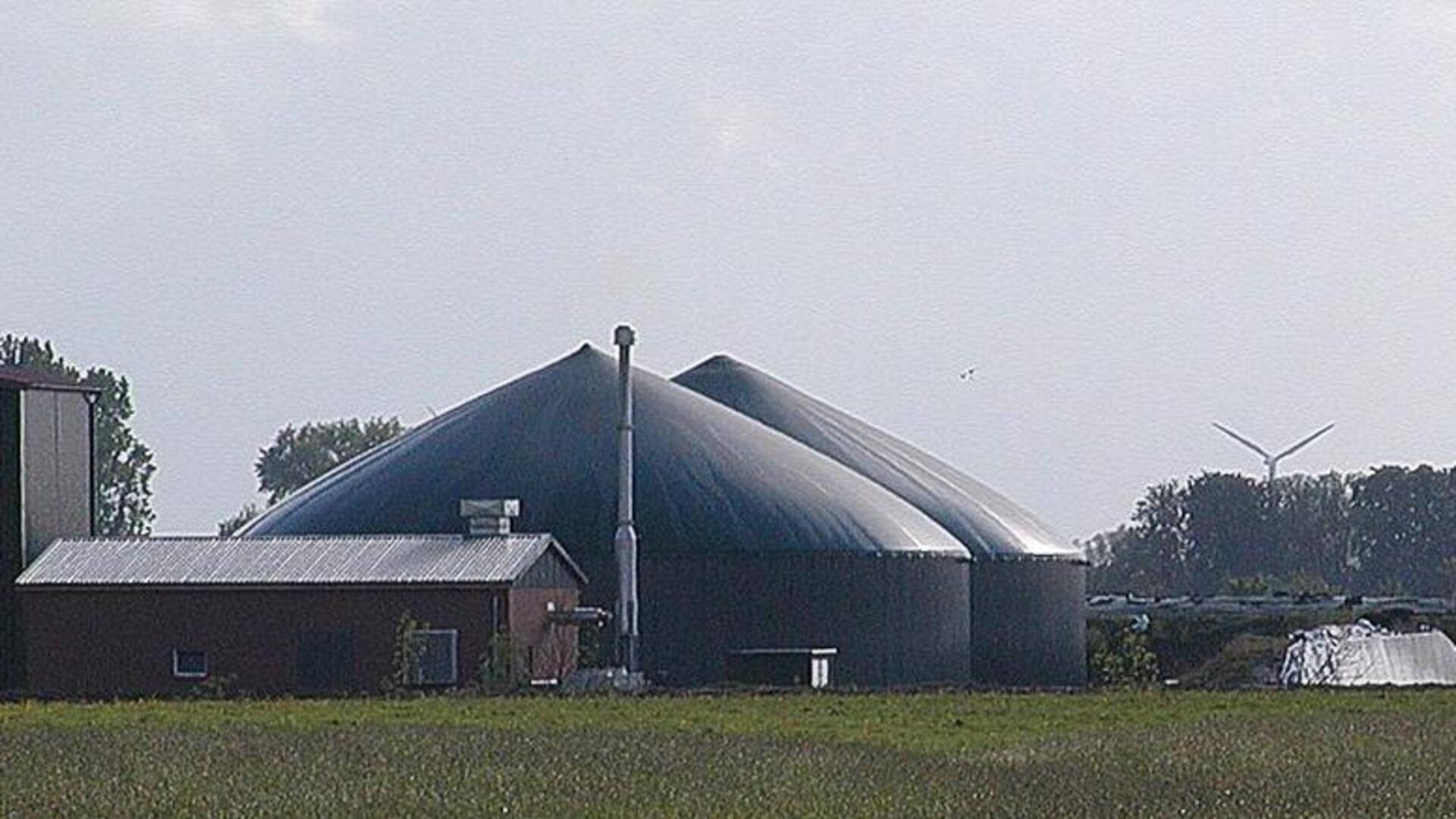 Sumber Energi Tersembunyi di Sawah
